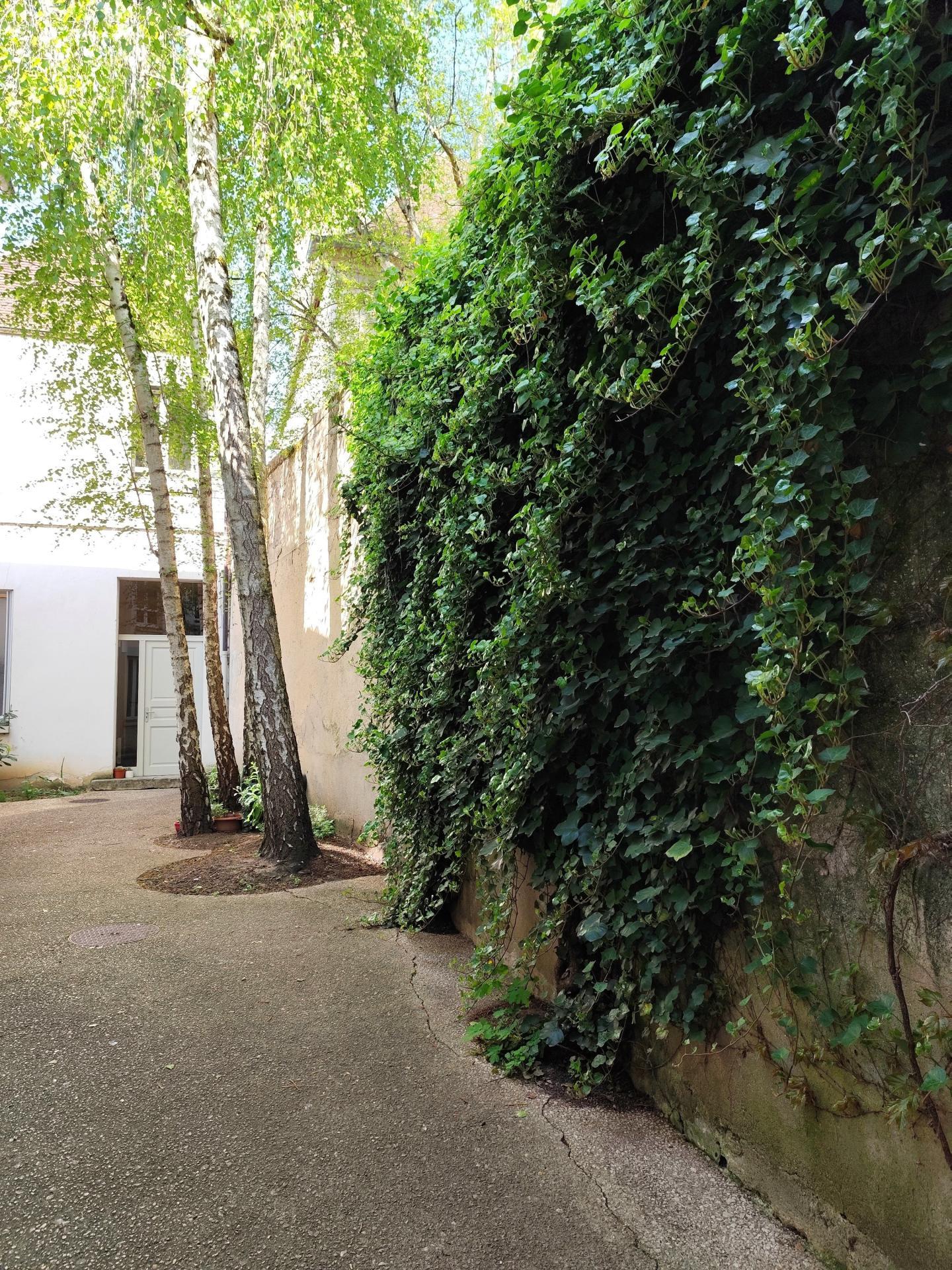 Miniature photo - 9 / 9