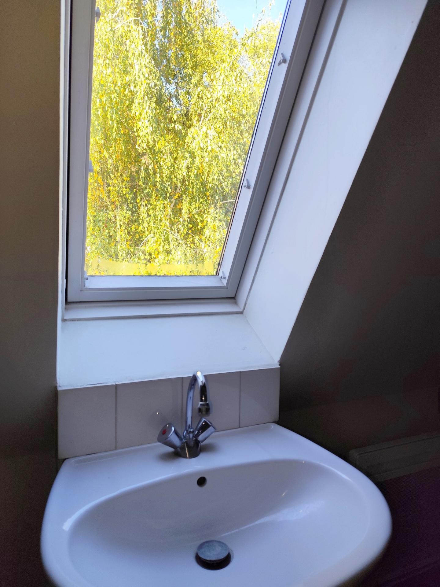 Miniature photo - 4 / 9