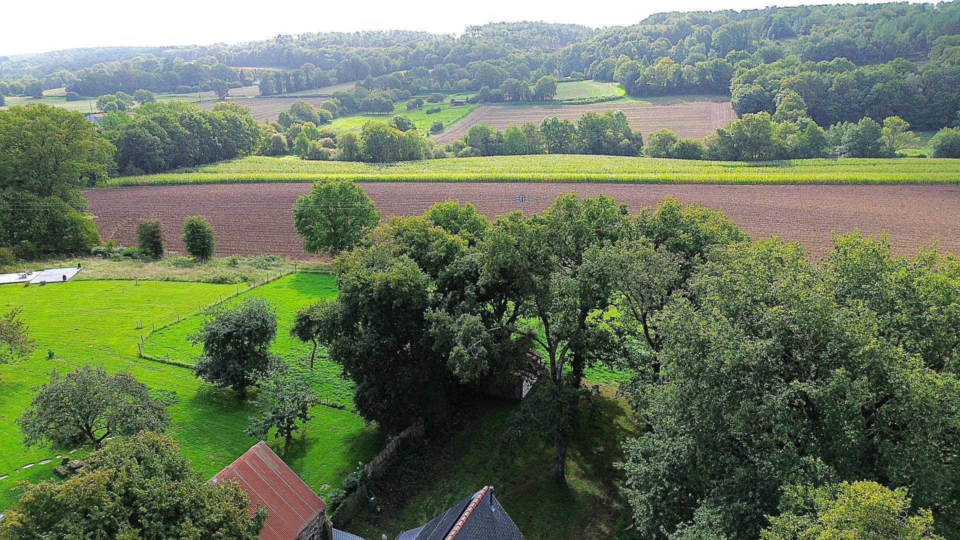 Miniature photo - 16 / 16