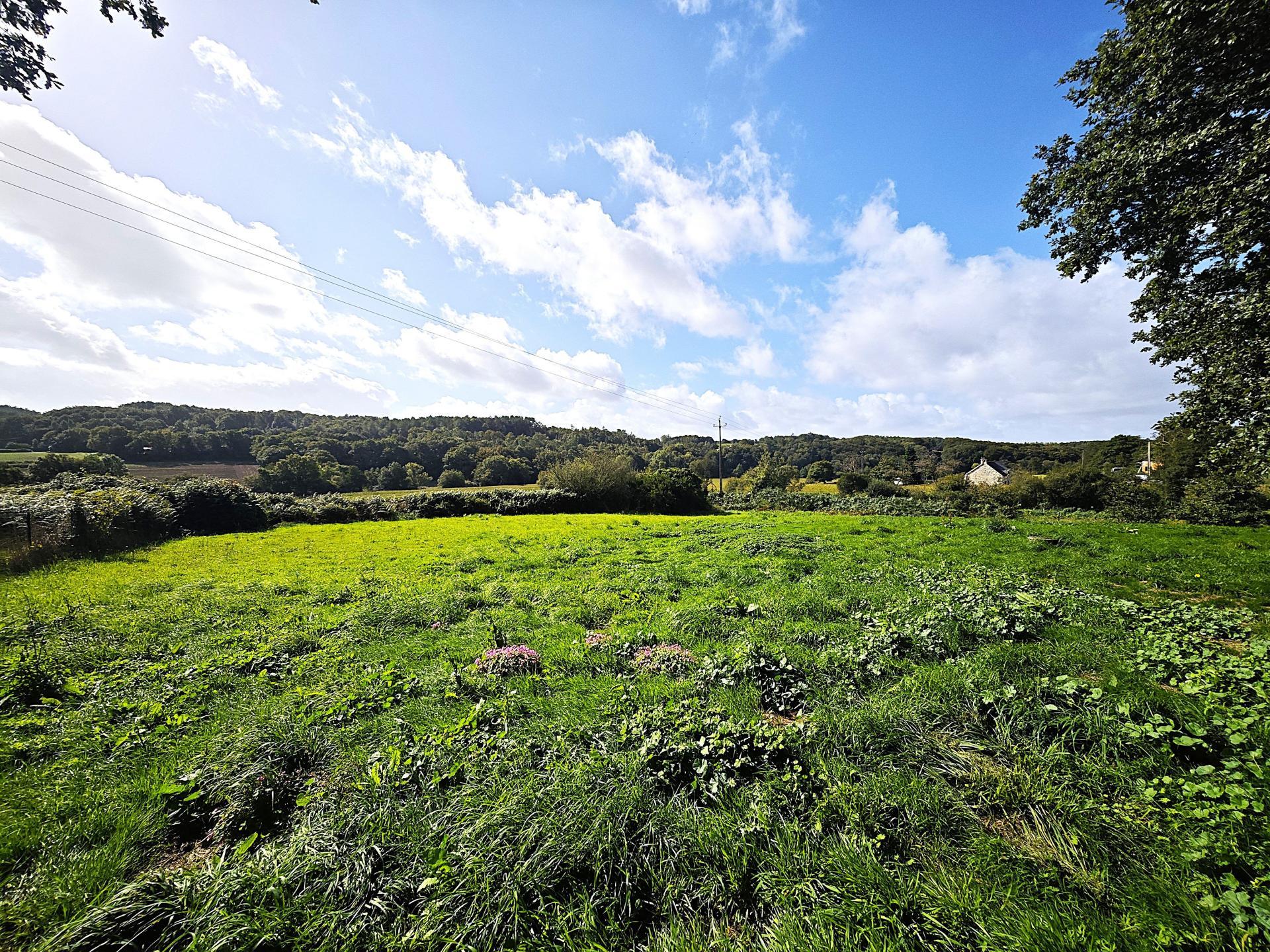 Miniature photo - 15 / 16