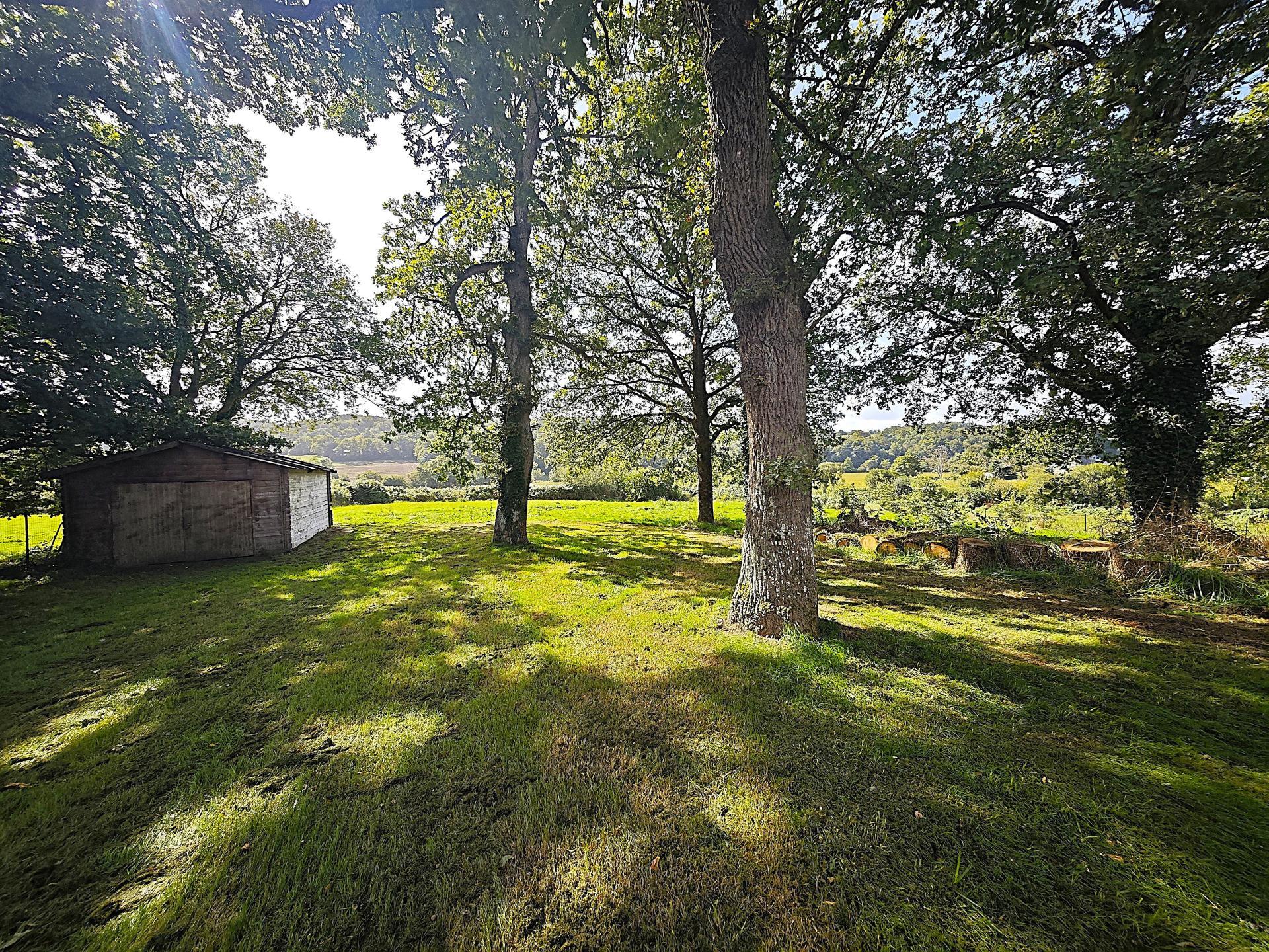 Miniature photo - 14 / 16