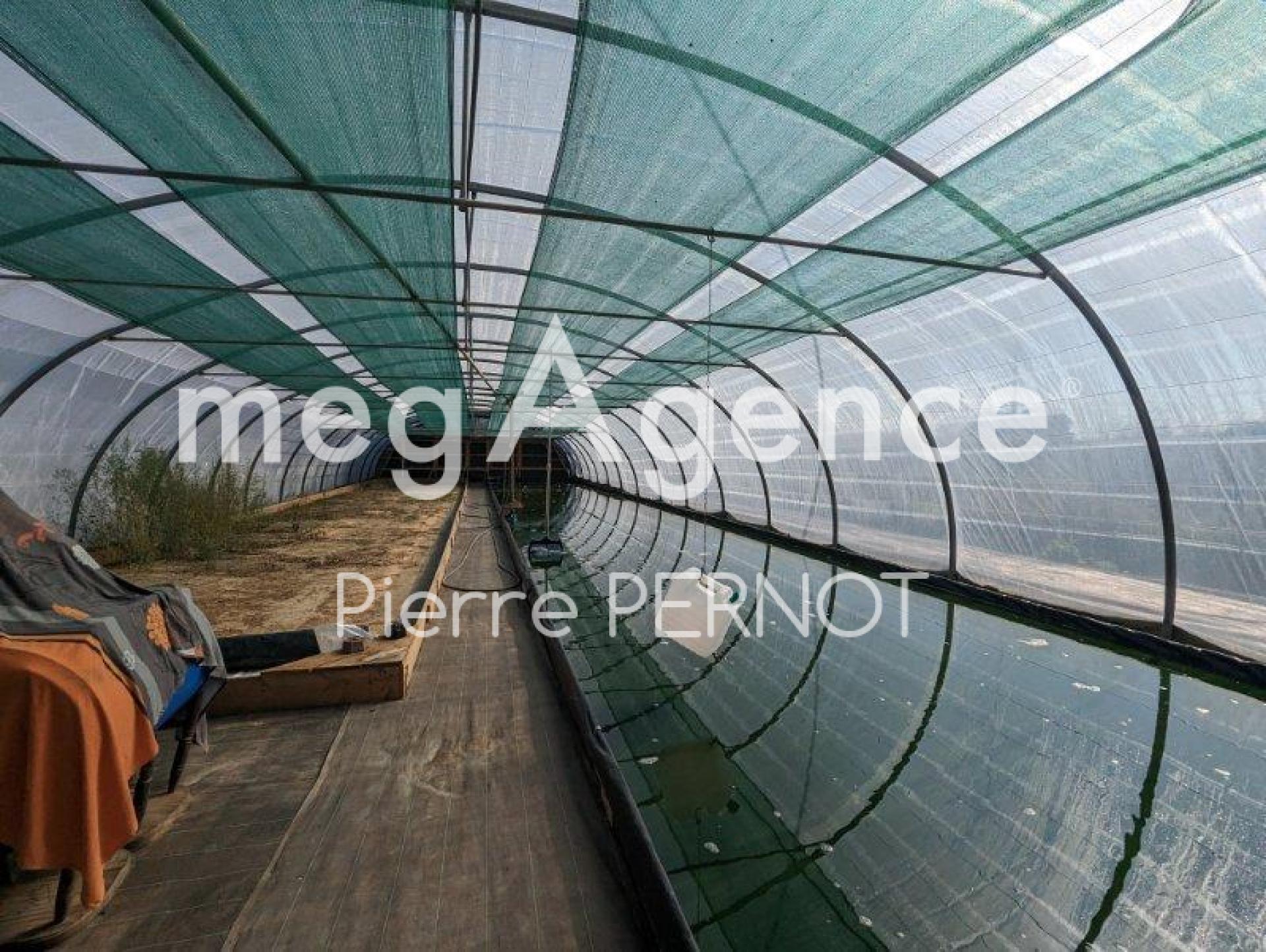 Miniature photo - 9 / 14