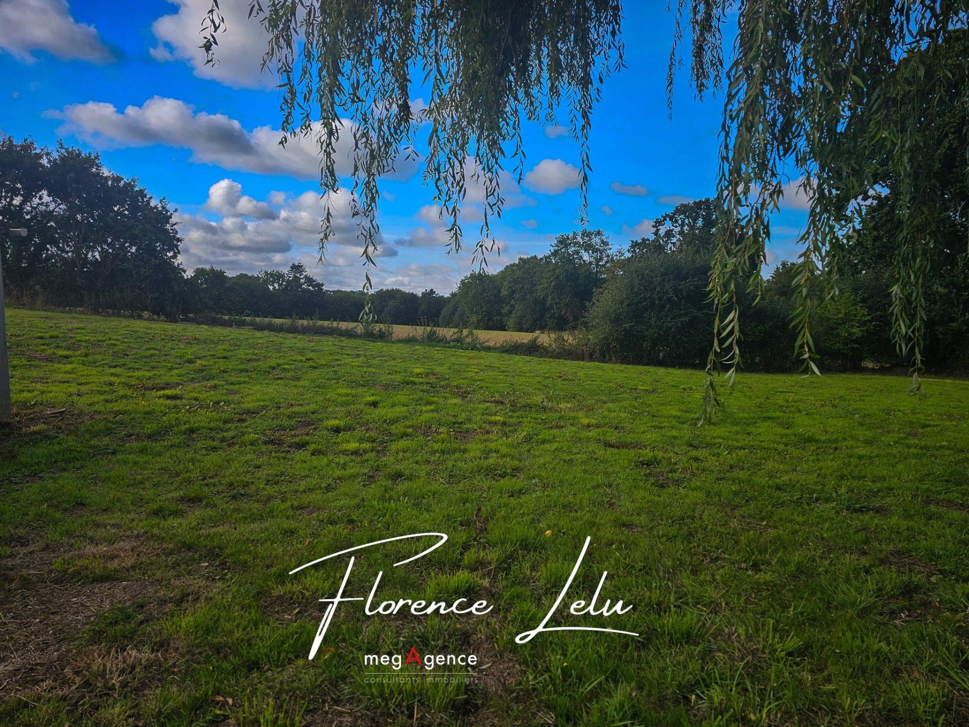 Miniature photo - 12 / 12