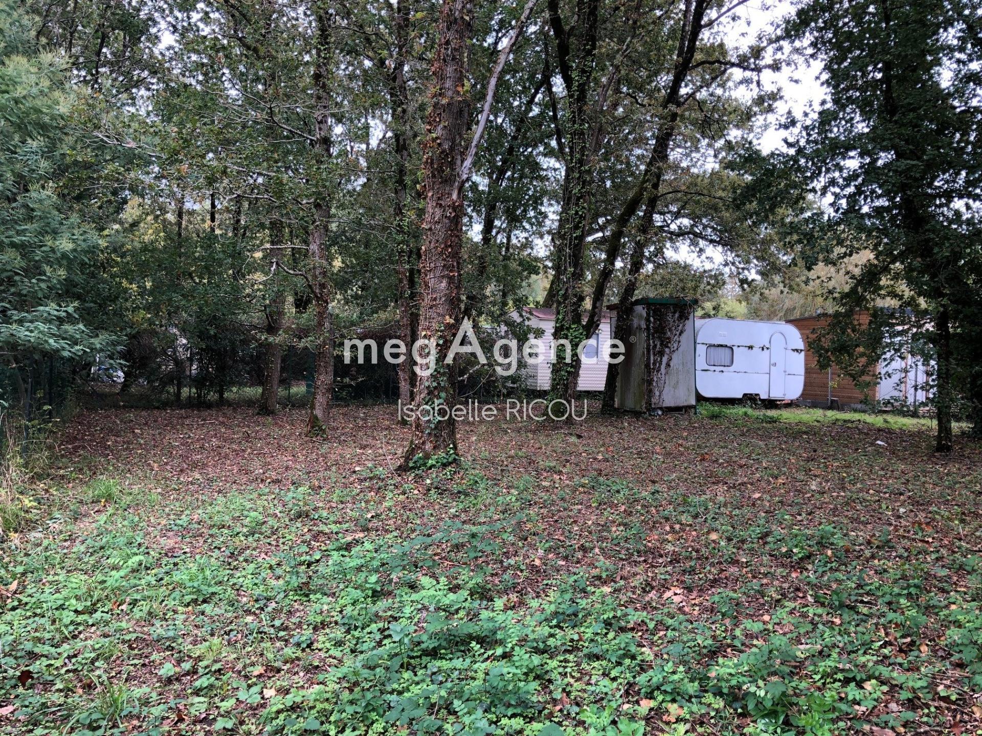 Miniature photo - 4 / 4