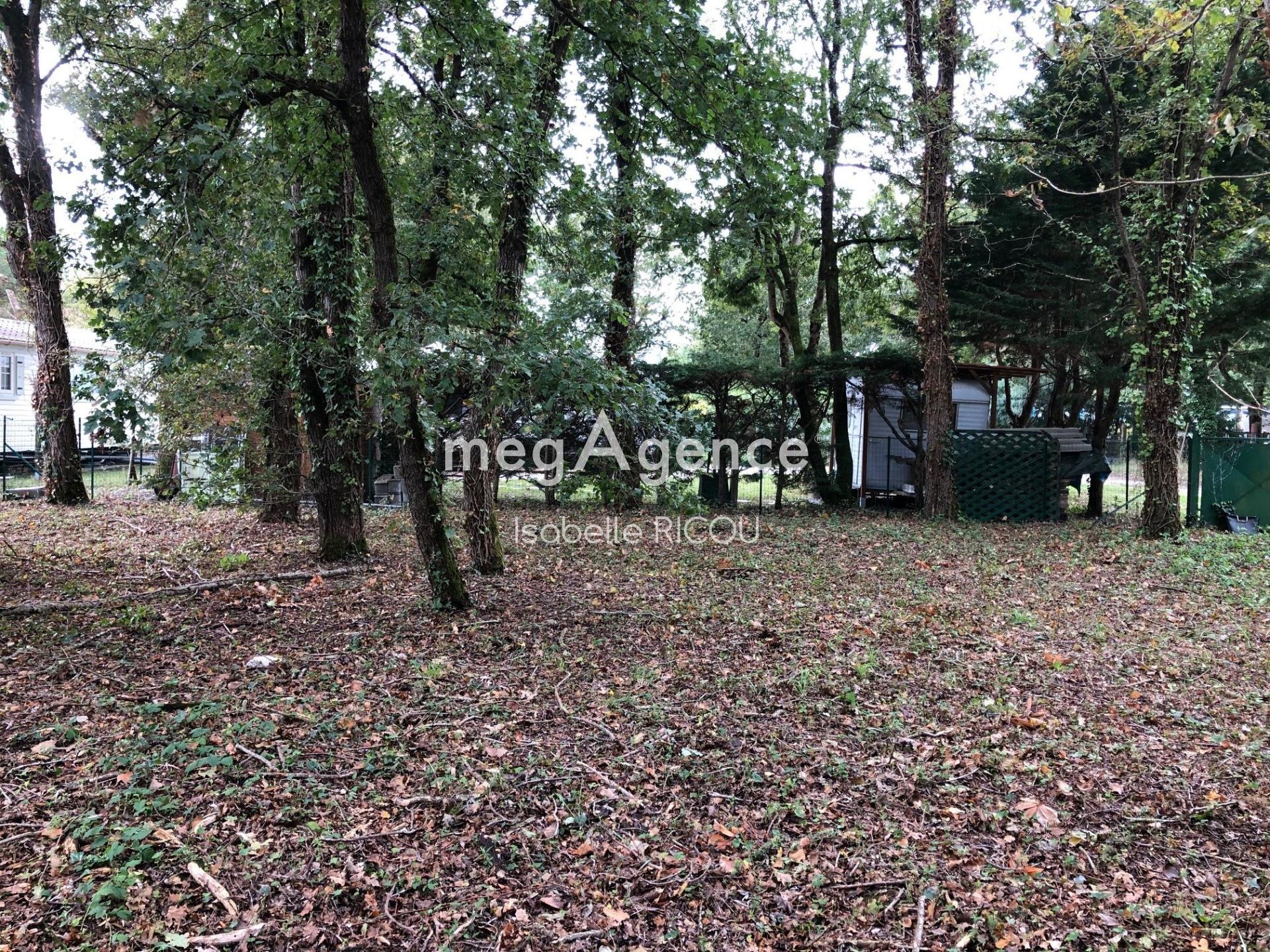 Miniature photo - 3 / 4