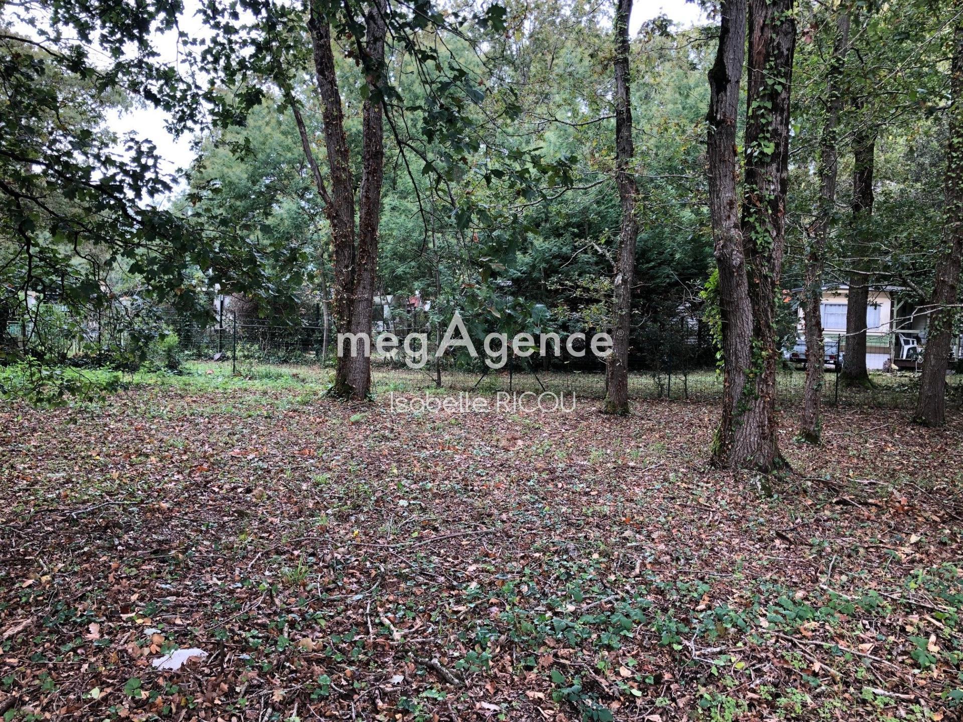 Miniature photo - 2 / 4