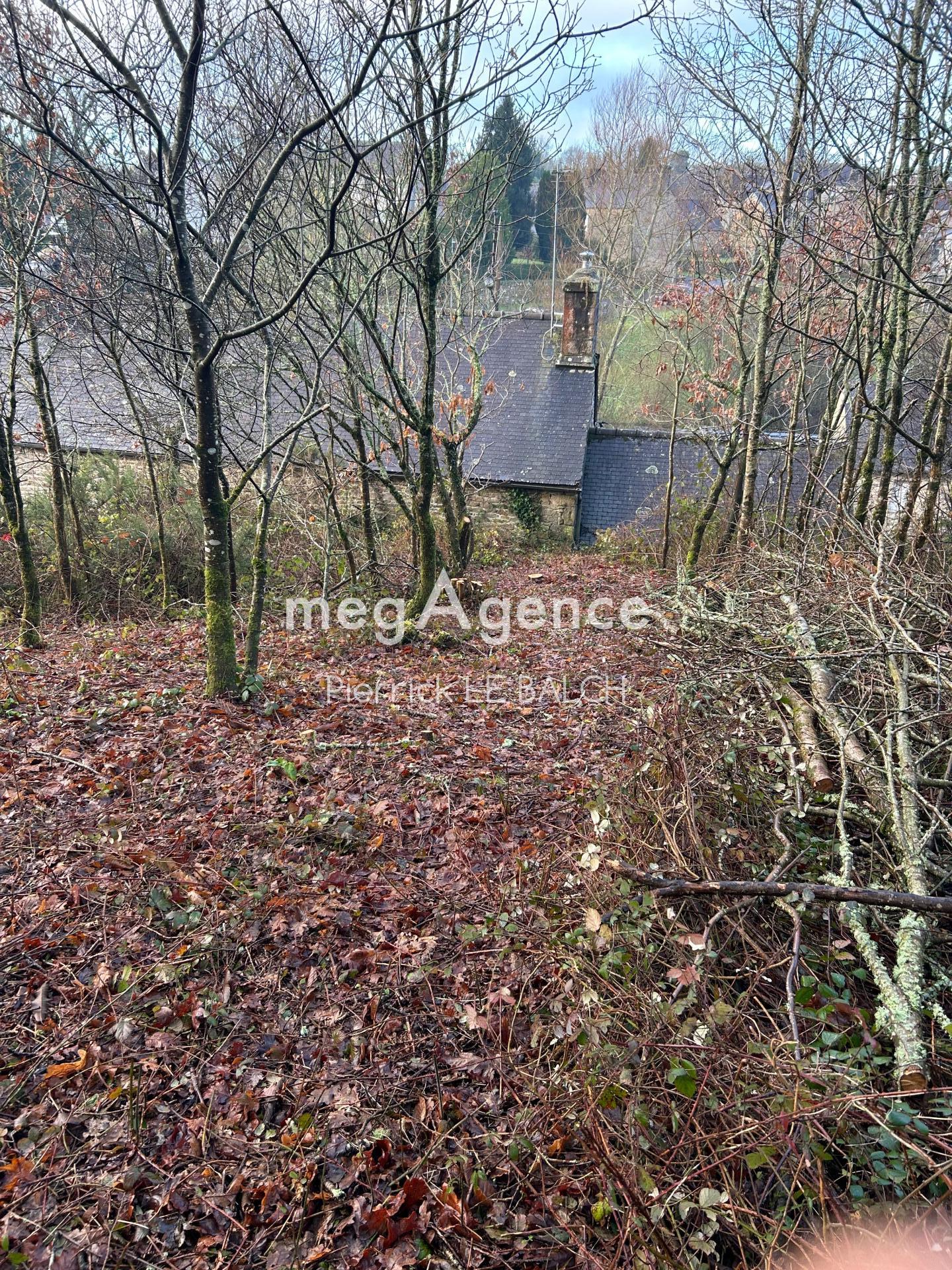 Miniature photo - 2 / 2