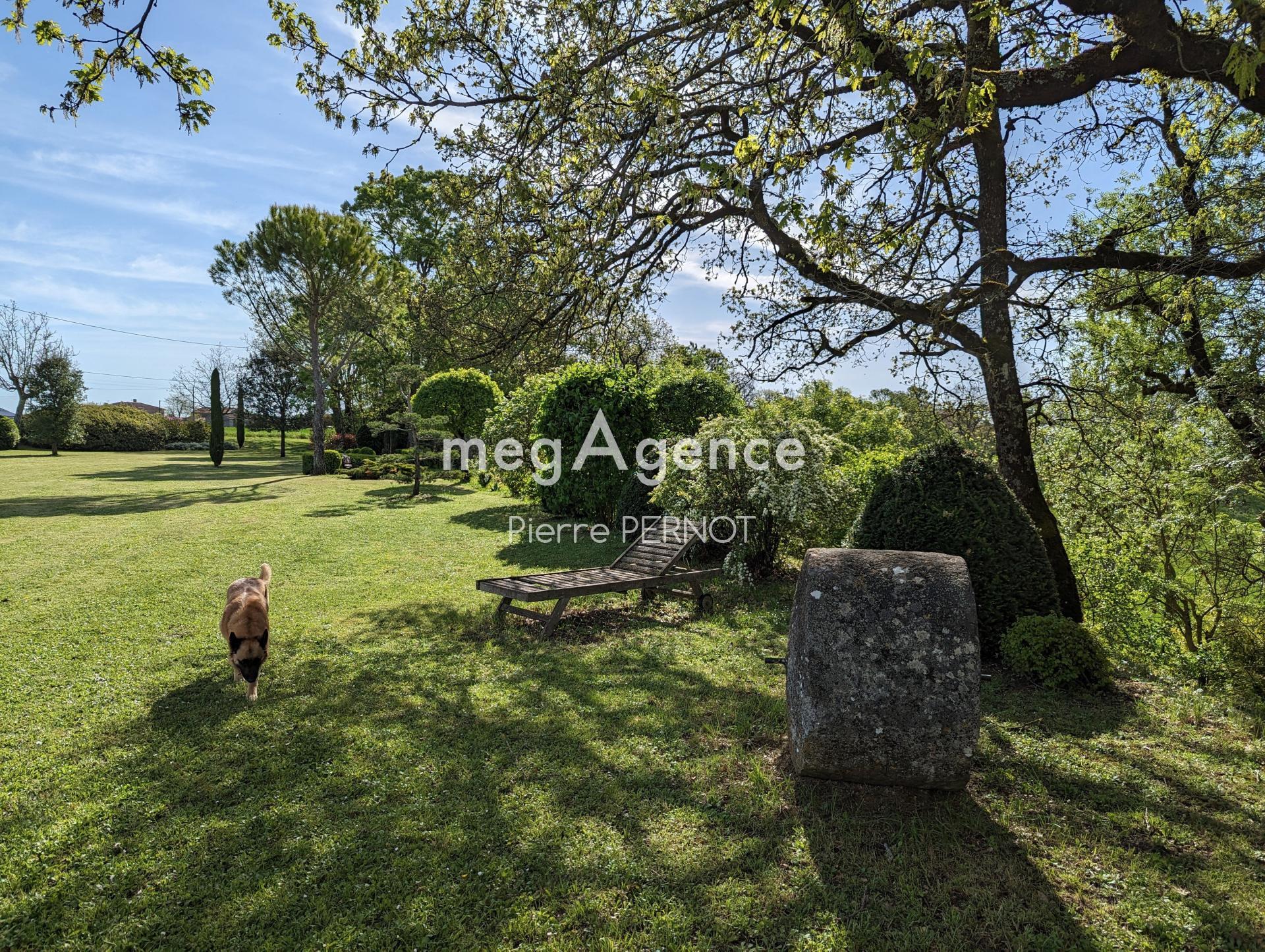 Miniature photo - 3 / 19