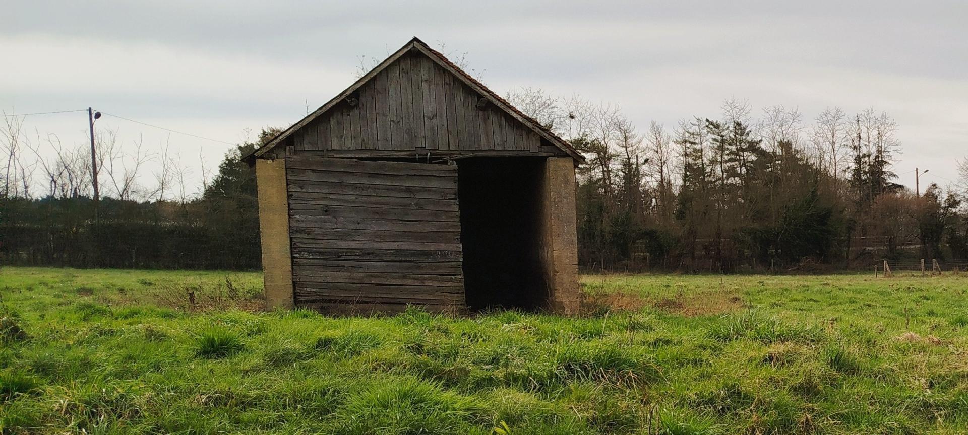 Miniature photo - 2 / 2