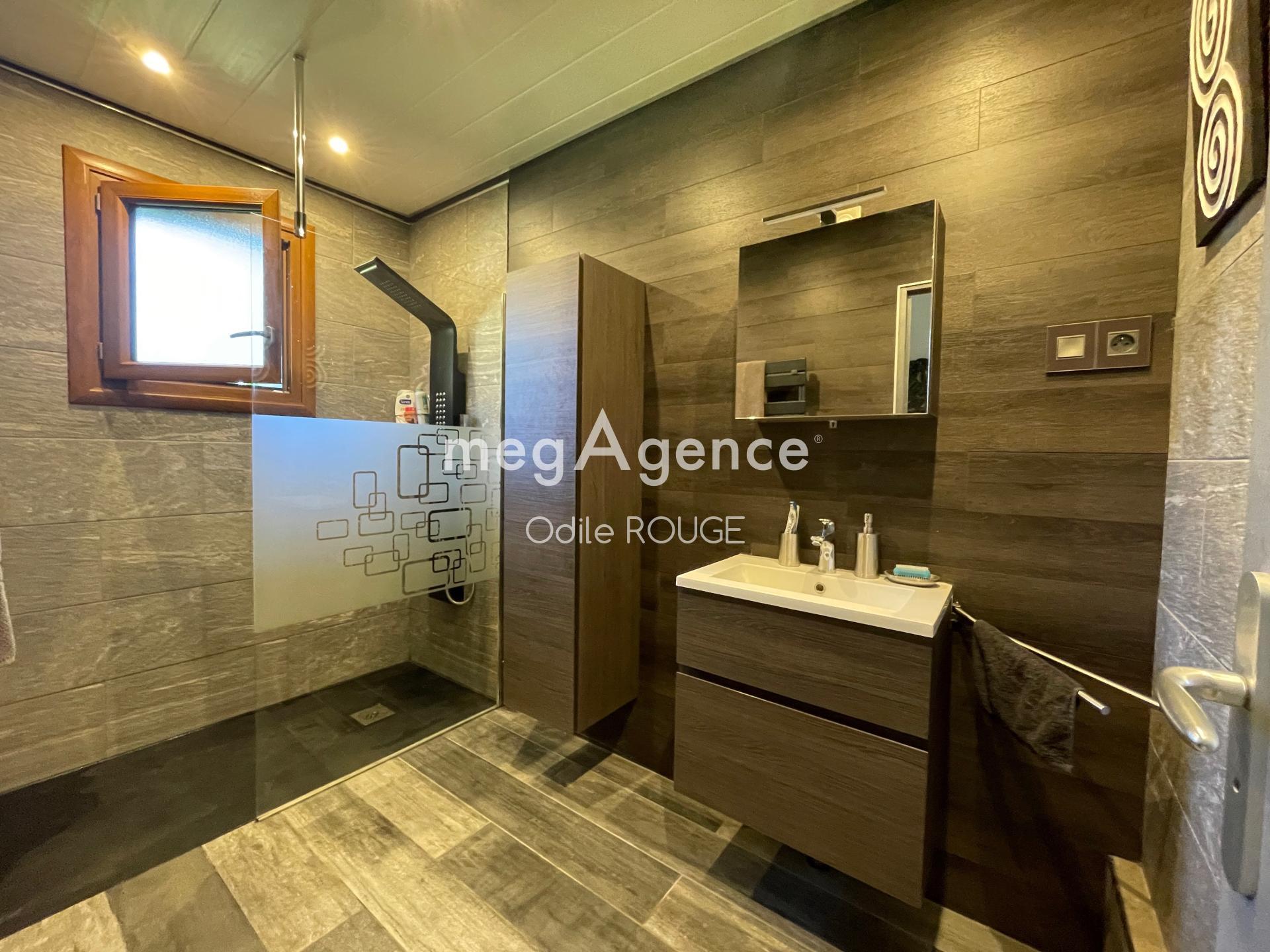 Miniature photo - 4 / 11