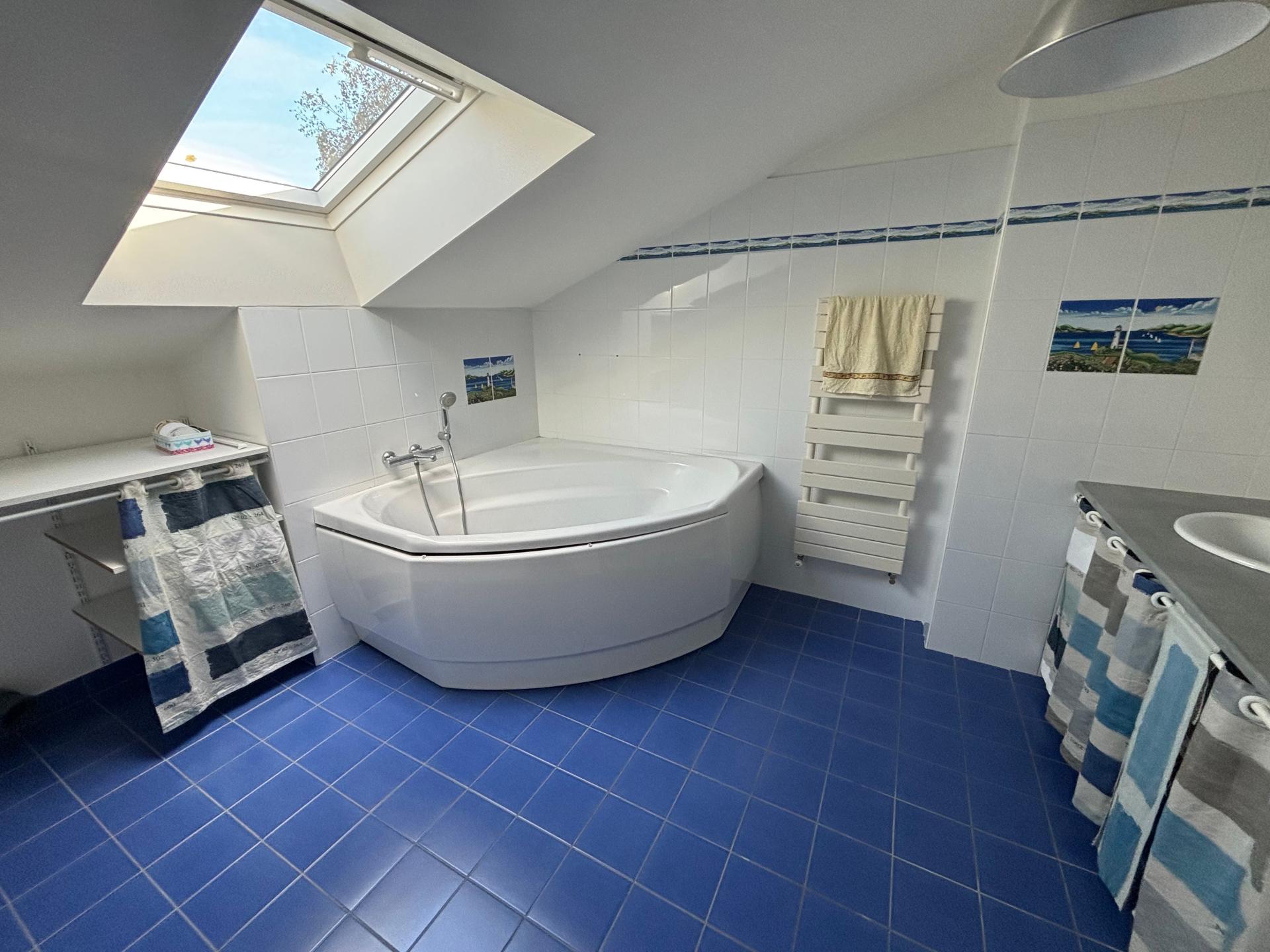 Miniature photo - 12 / 12