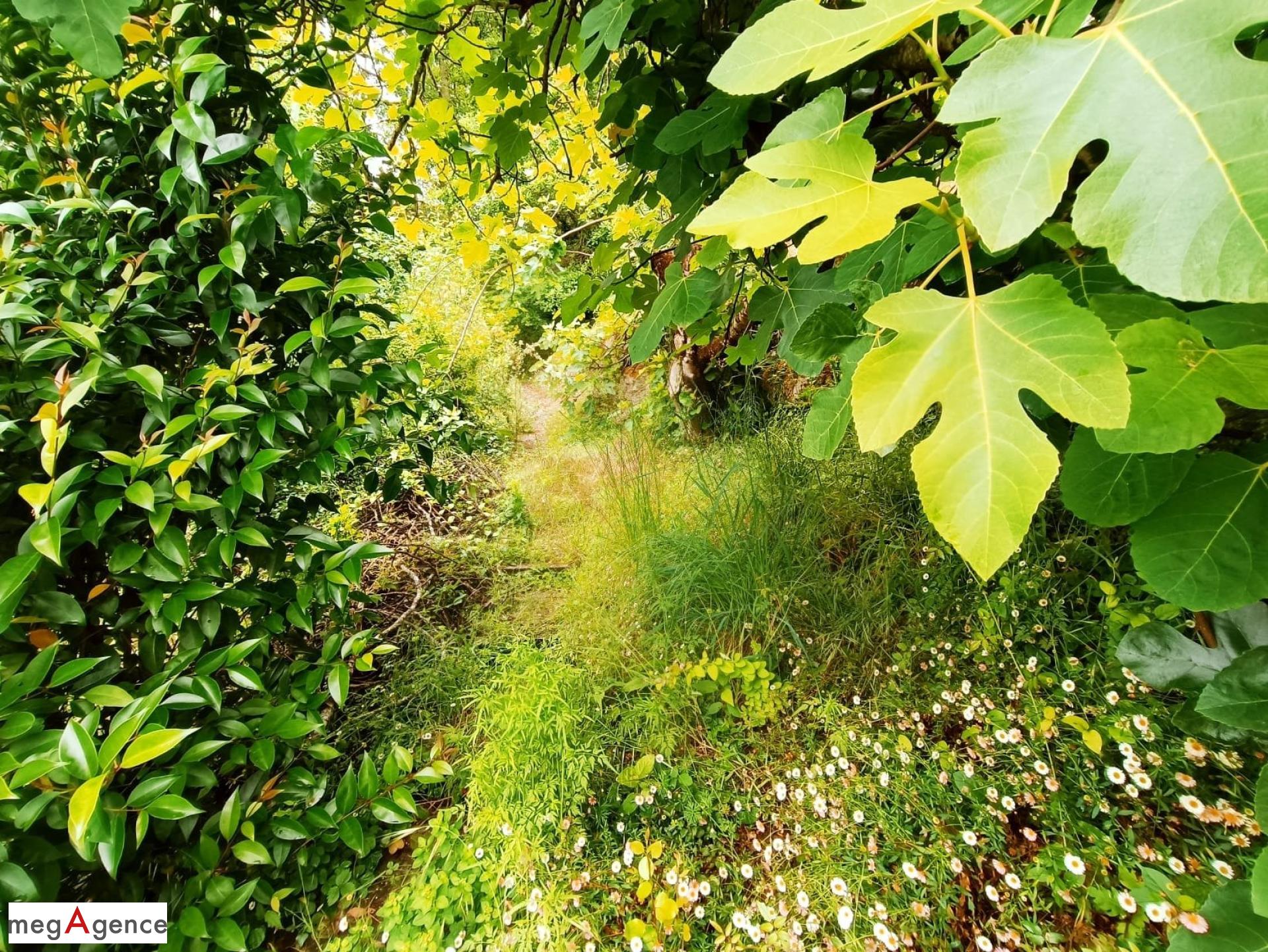Miniature photo - 15 / 15