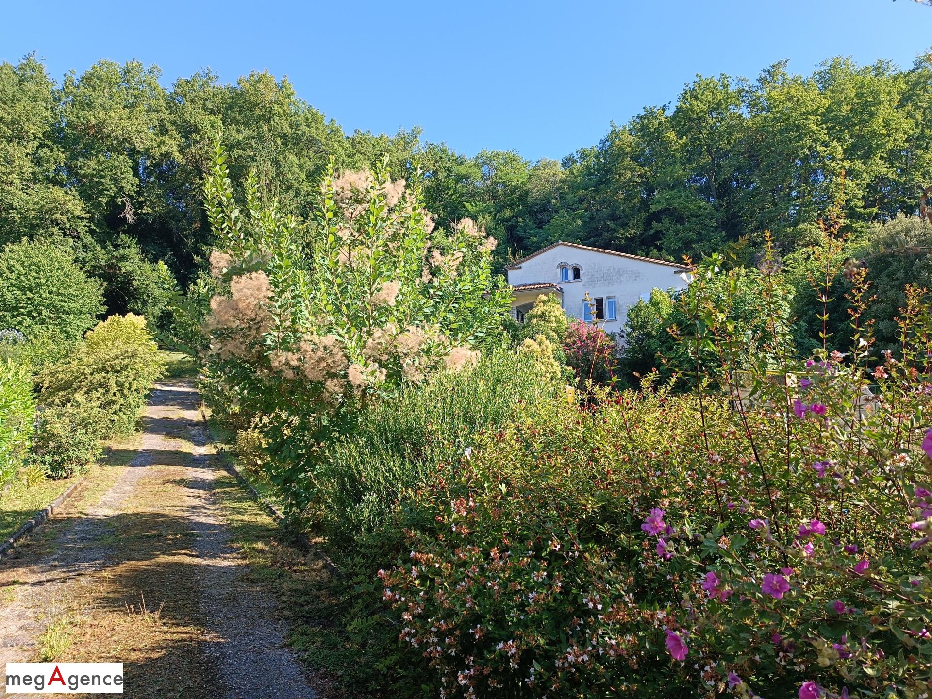 Miniature photo - 2 / 11