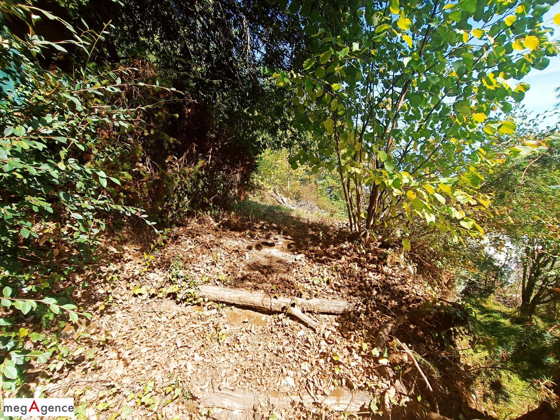 Miniature photo - 11 / 11