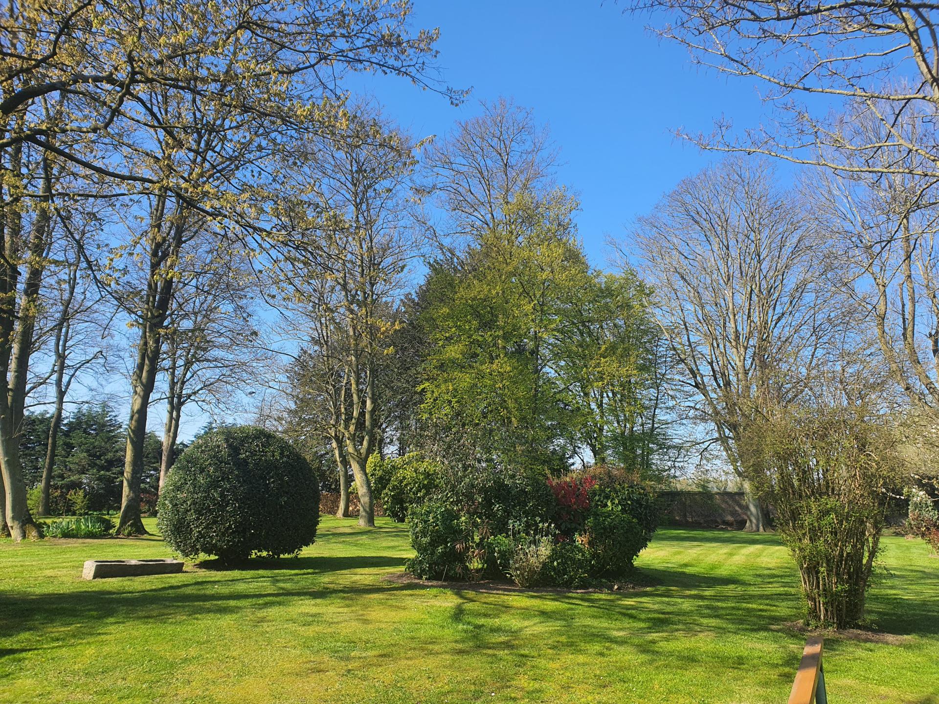 Miniature photo - 8 / 13