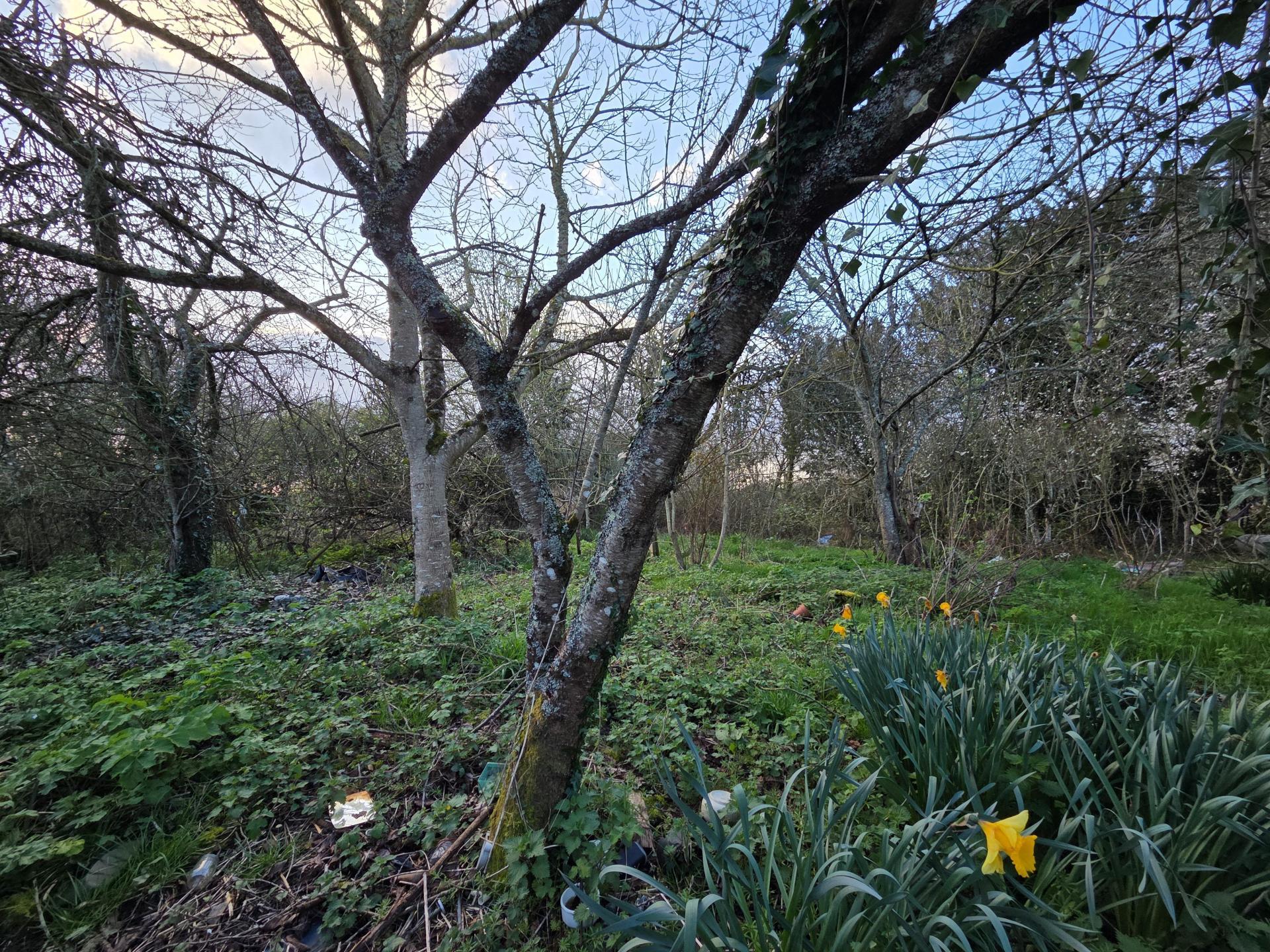 Miniature photo - 5 / 5