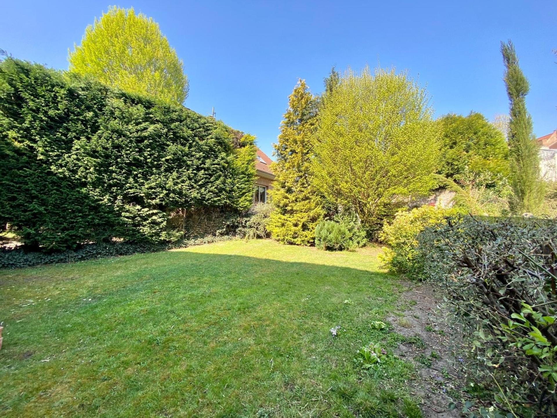 Miniature photo - 10 / 10