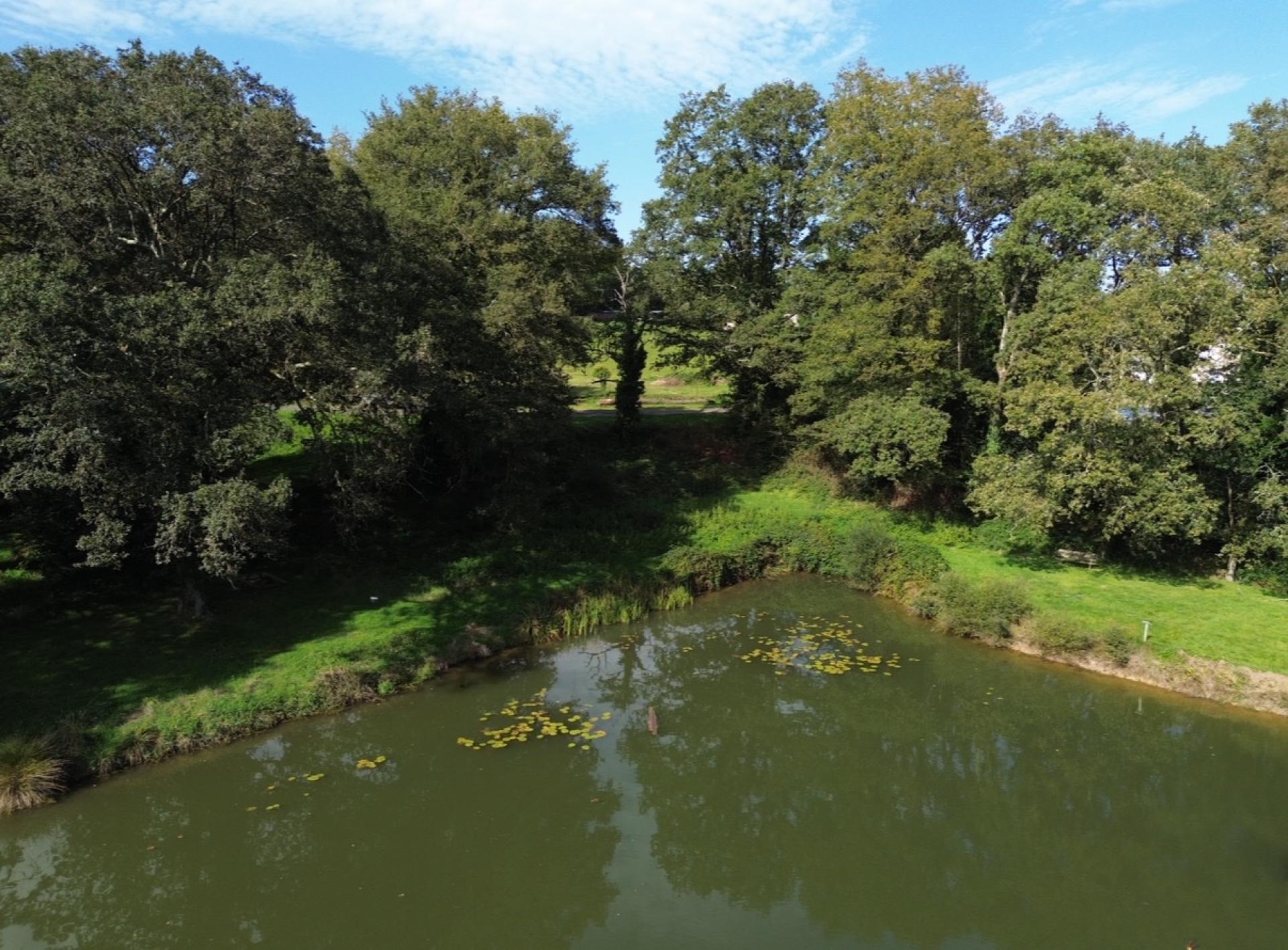 Miniature photo - 3 / 3