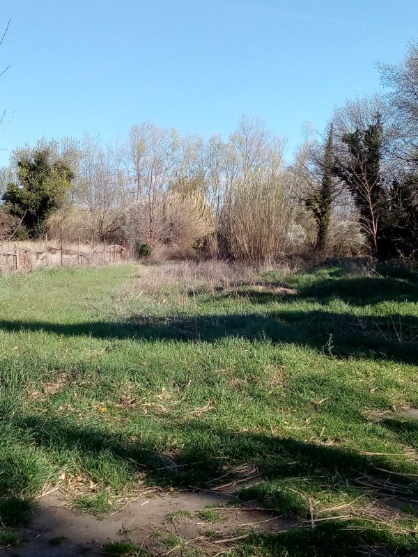 Photographie descriptive du bien