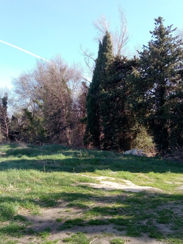 Miniature photo - 2 / 2