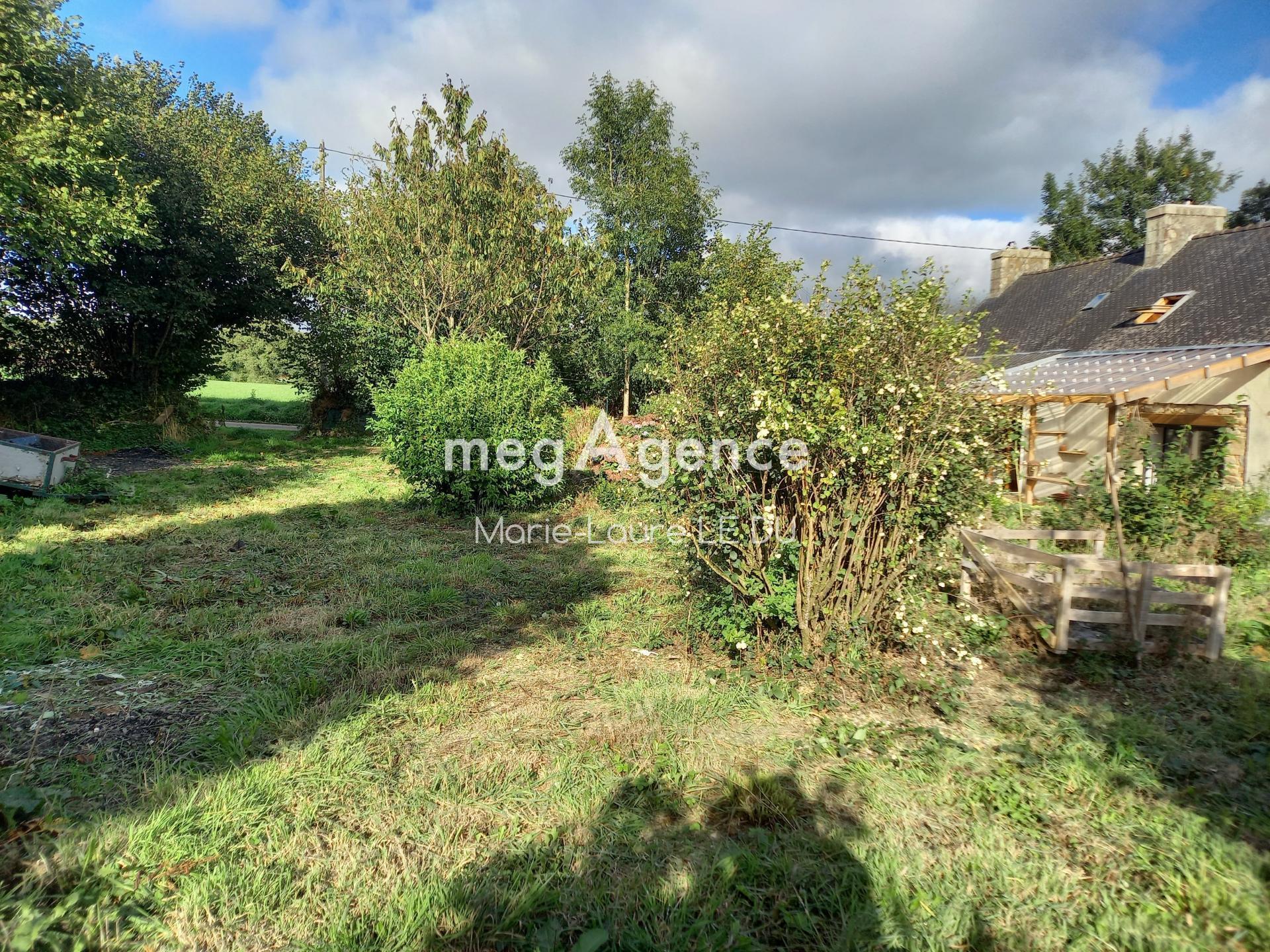 Miniature photo - 5 / 19