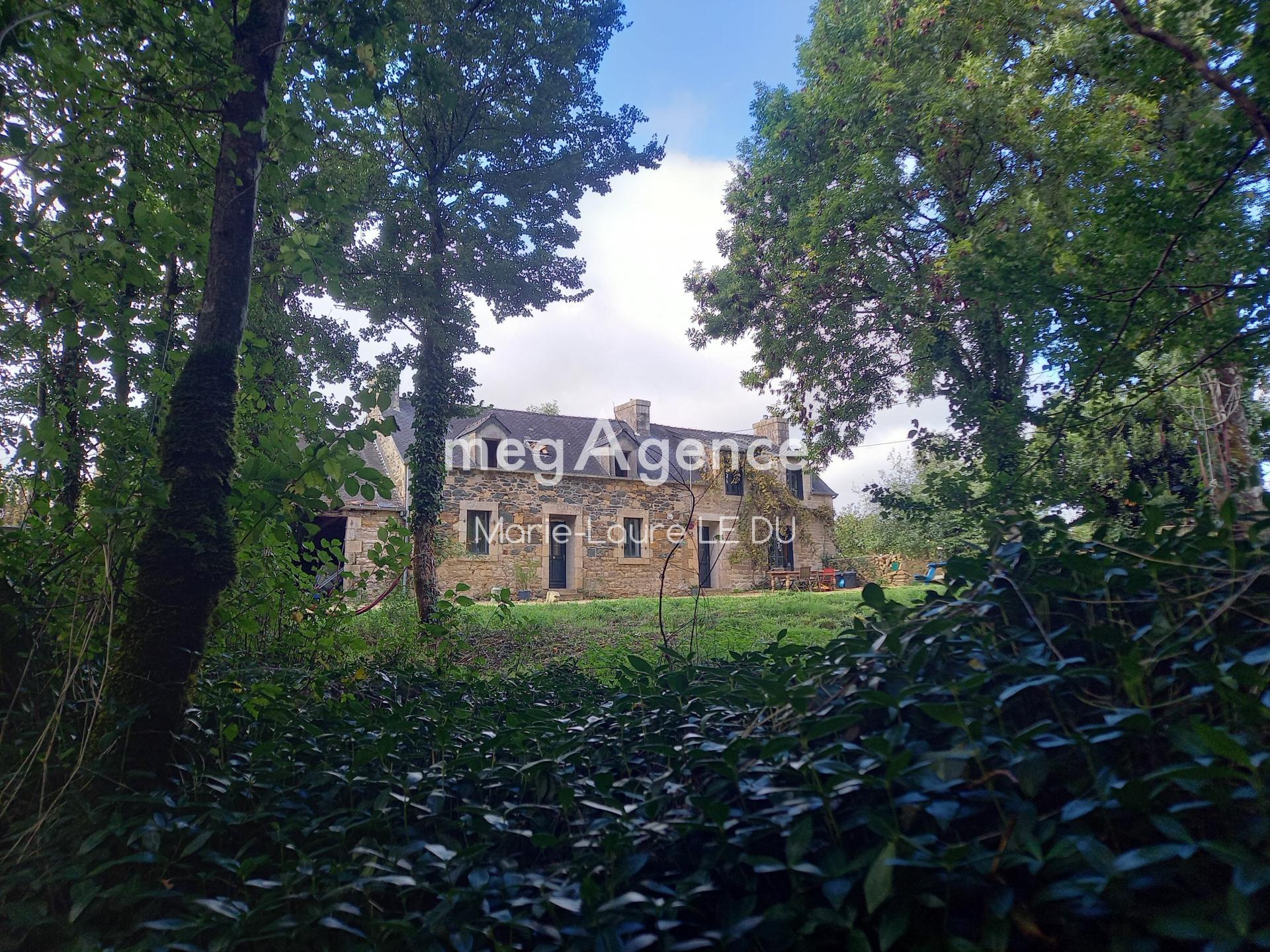 Miniature photo - 3 / 19