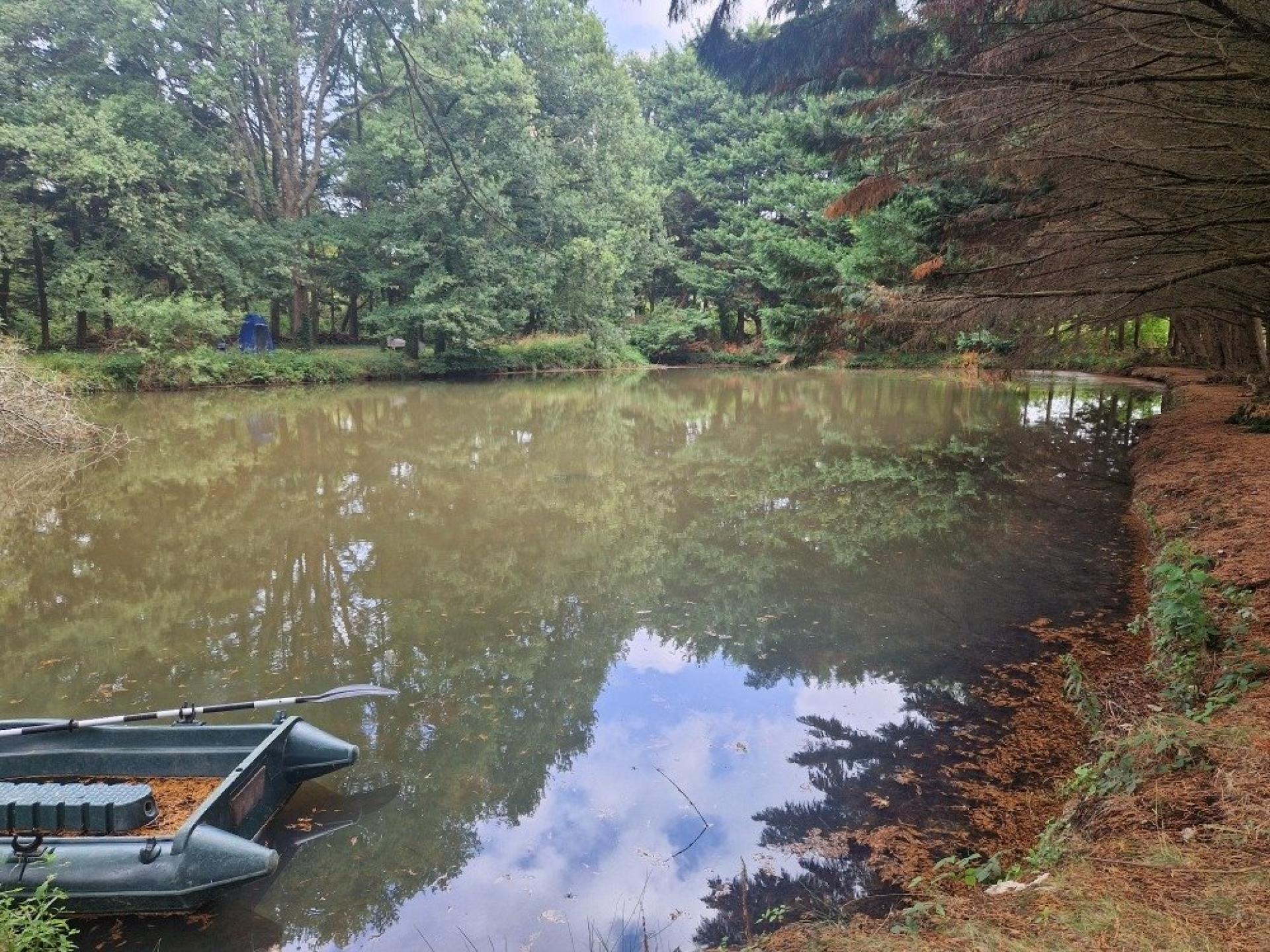 Miniature photo - 5 / 6