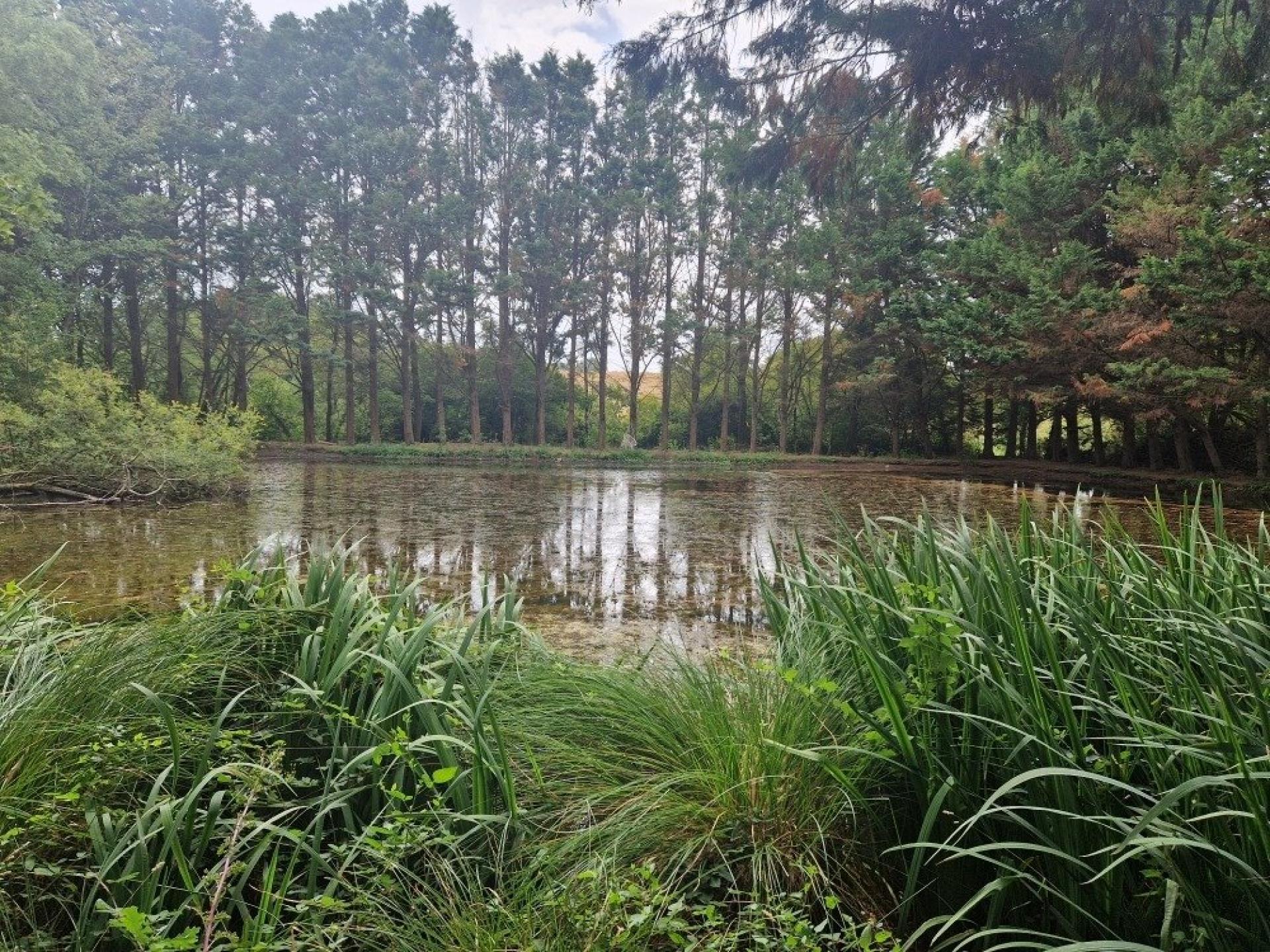 Photographie descriptive du bien