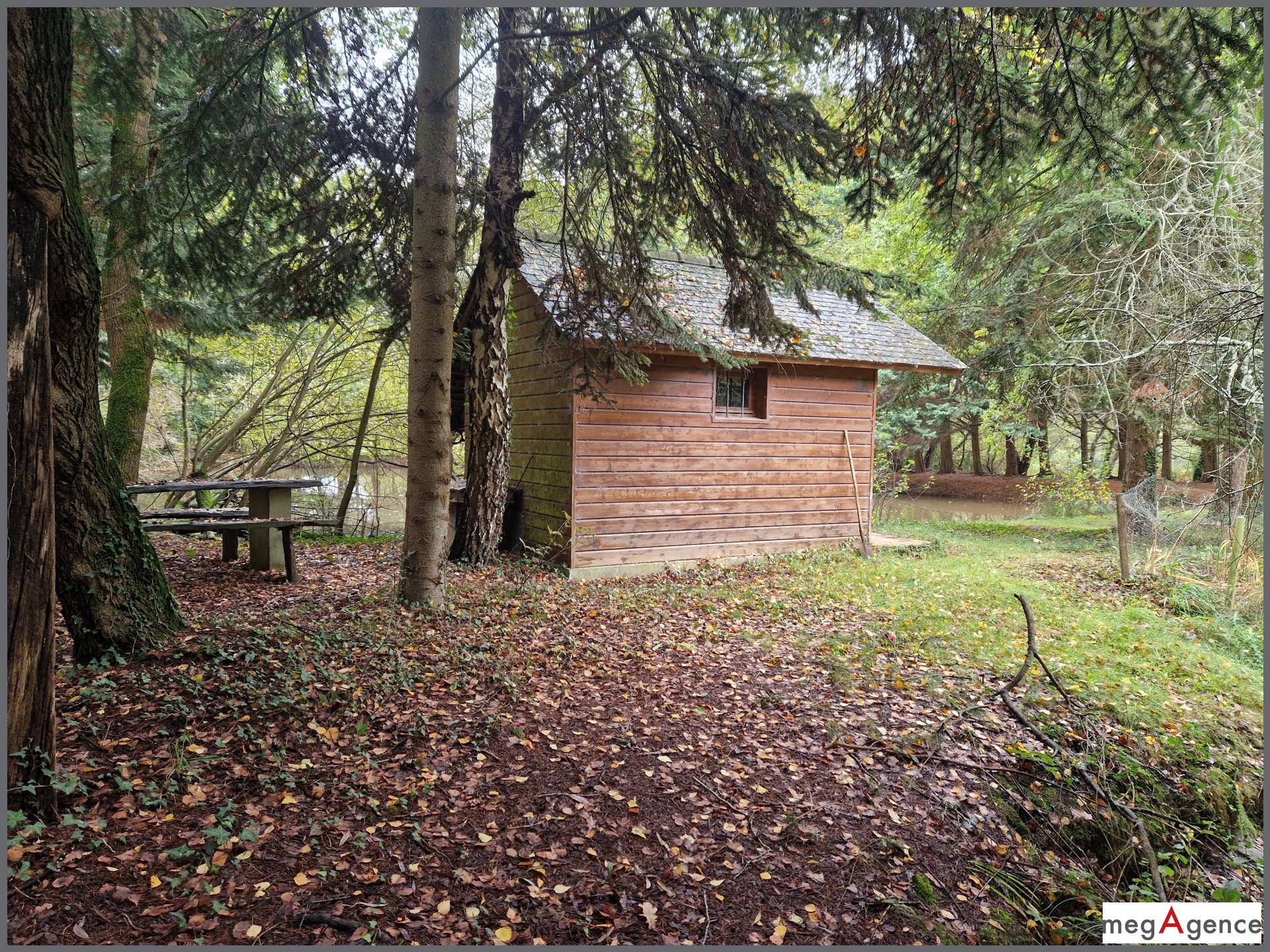 Miniature photo - 6 / 6