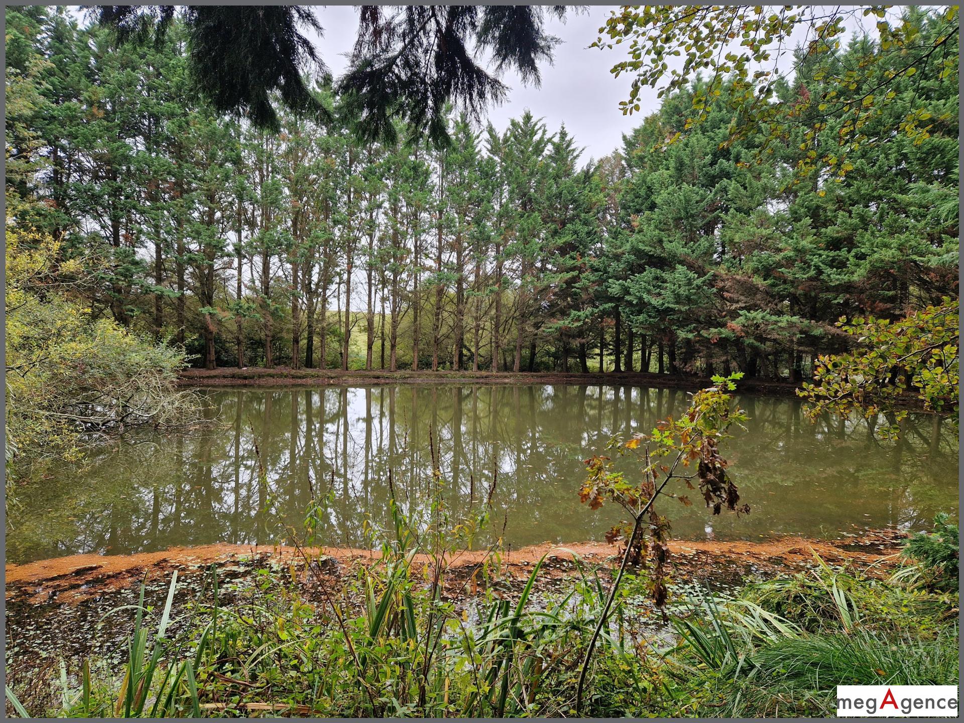 Miniature photo - 4 / 6