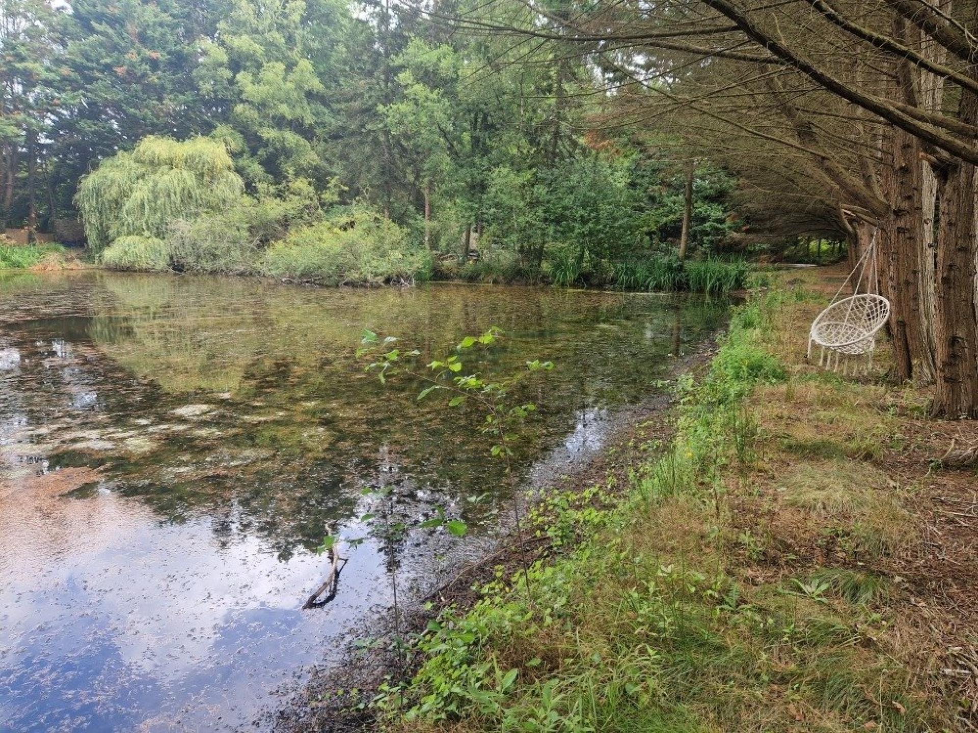 Miniature photo - 2 / 6