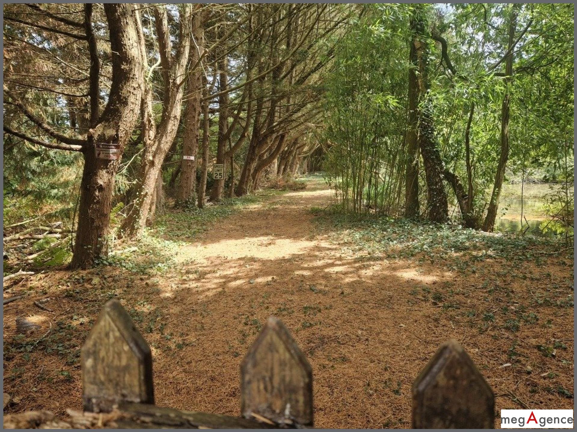 Miniature photo - 3 / 6