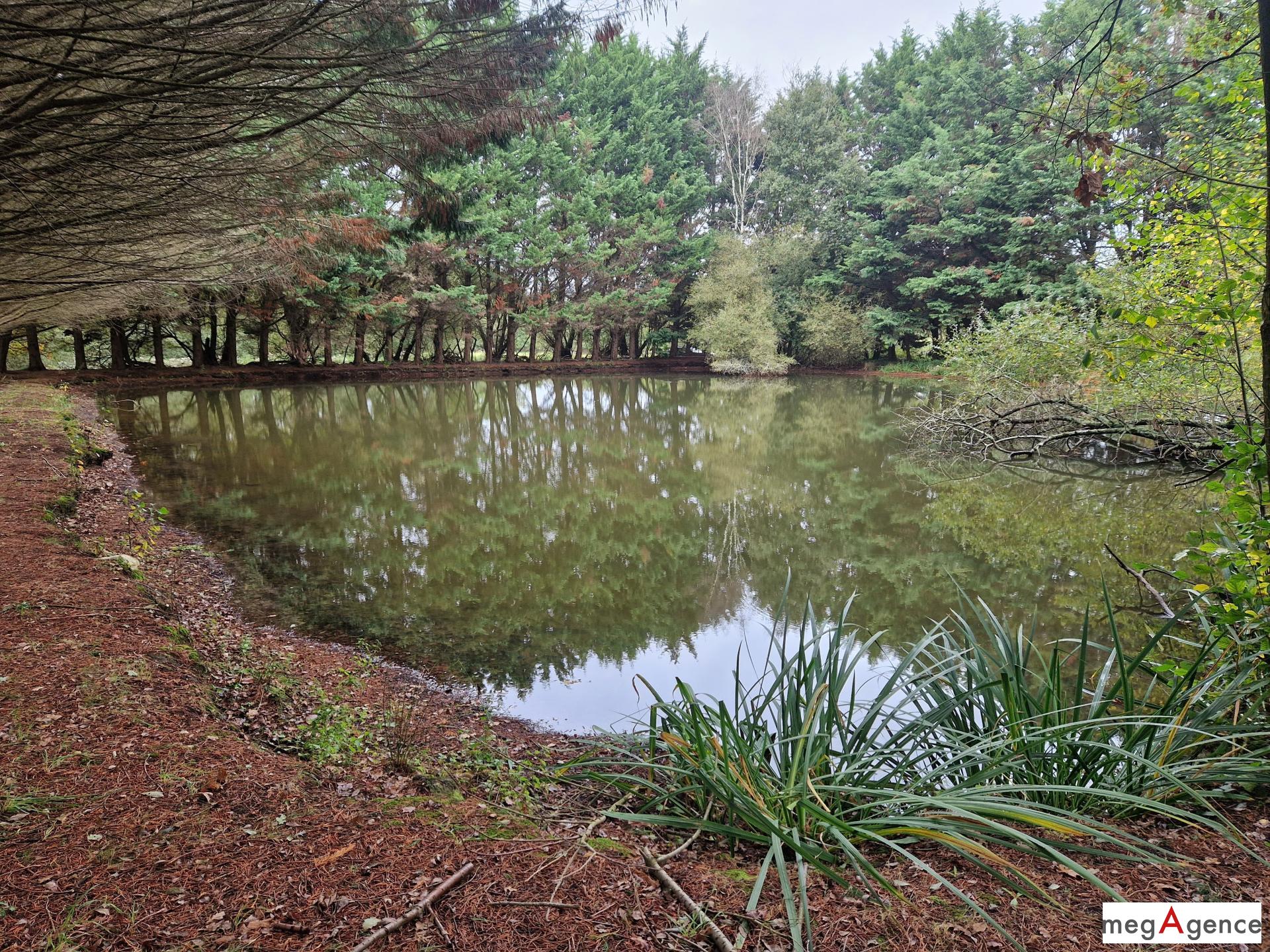 Miniature photo - 6 / 6