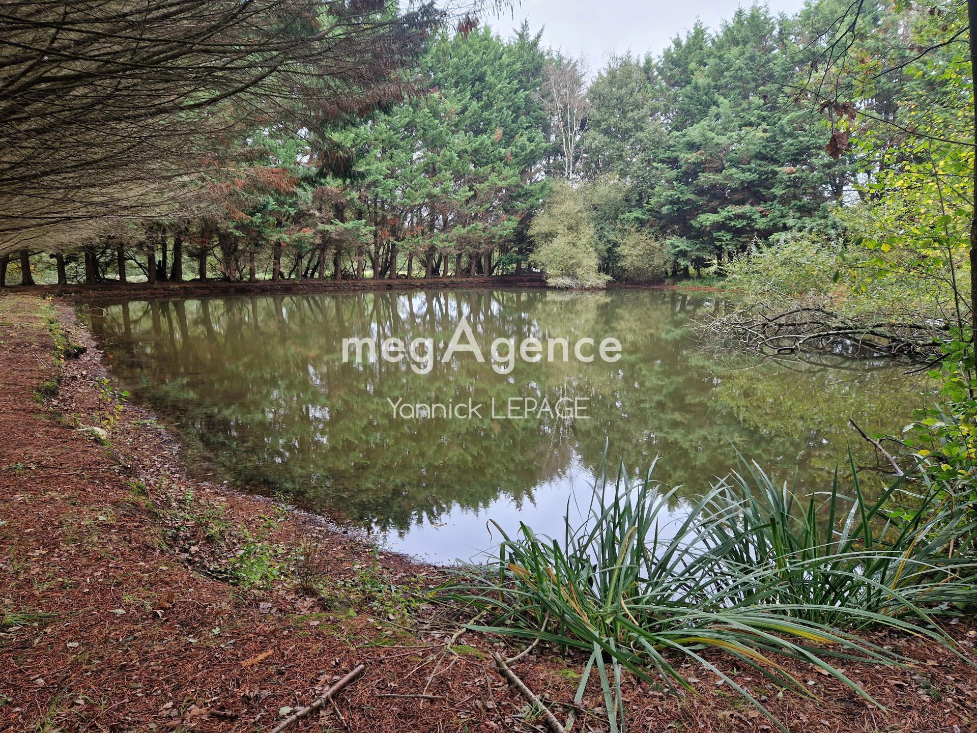 Miniature photo - 5 / 6