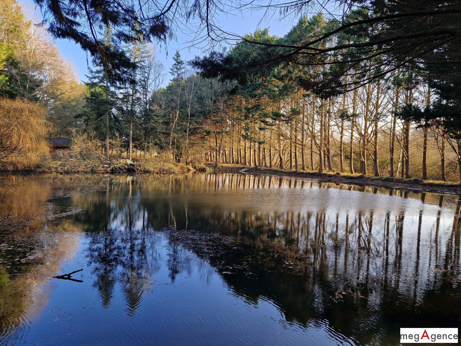 Photographie descriptive du bien