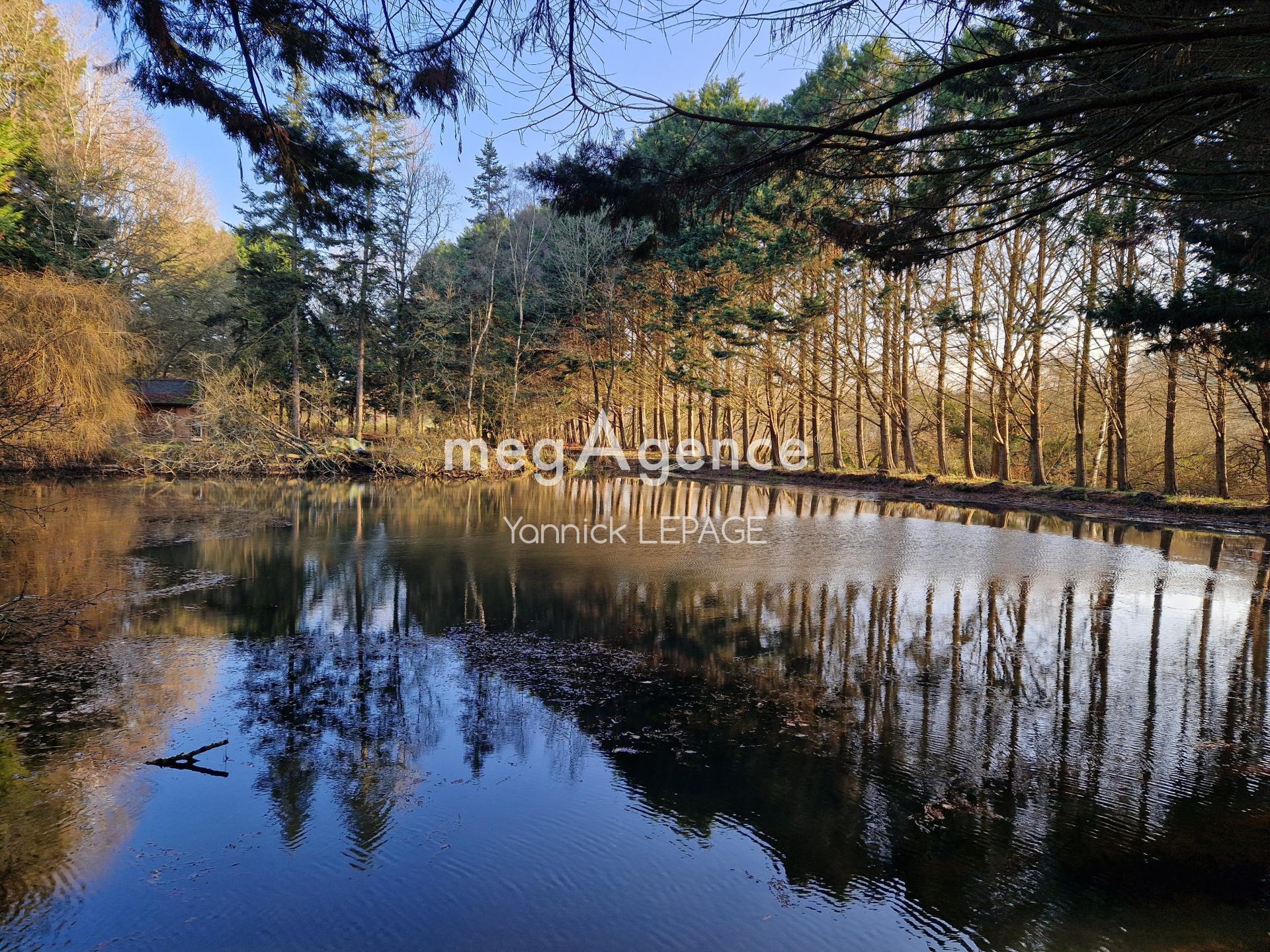 Miniature photo - 4 / 6