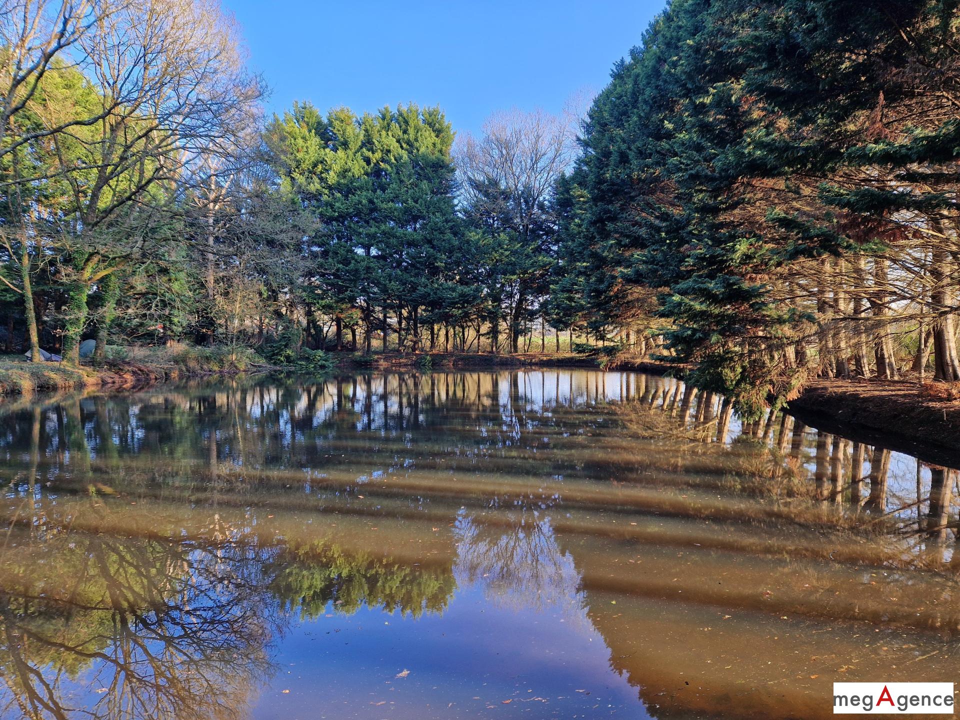 Miniature photo - 5 / 6