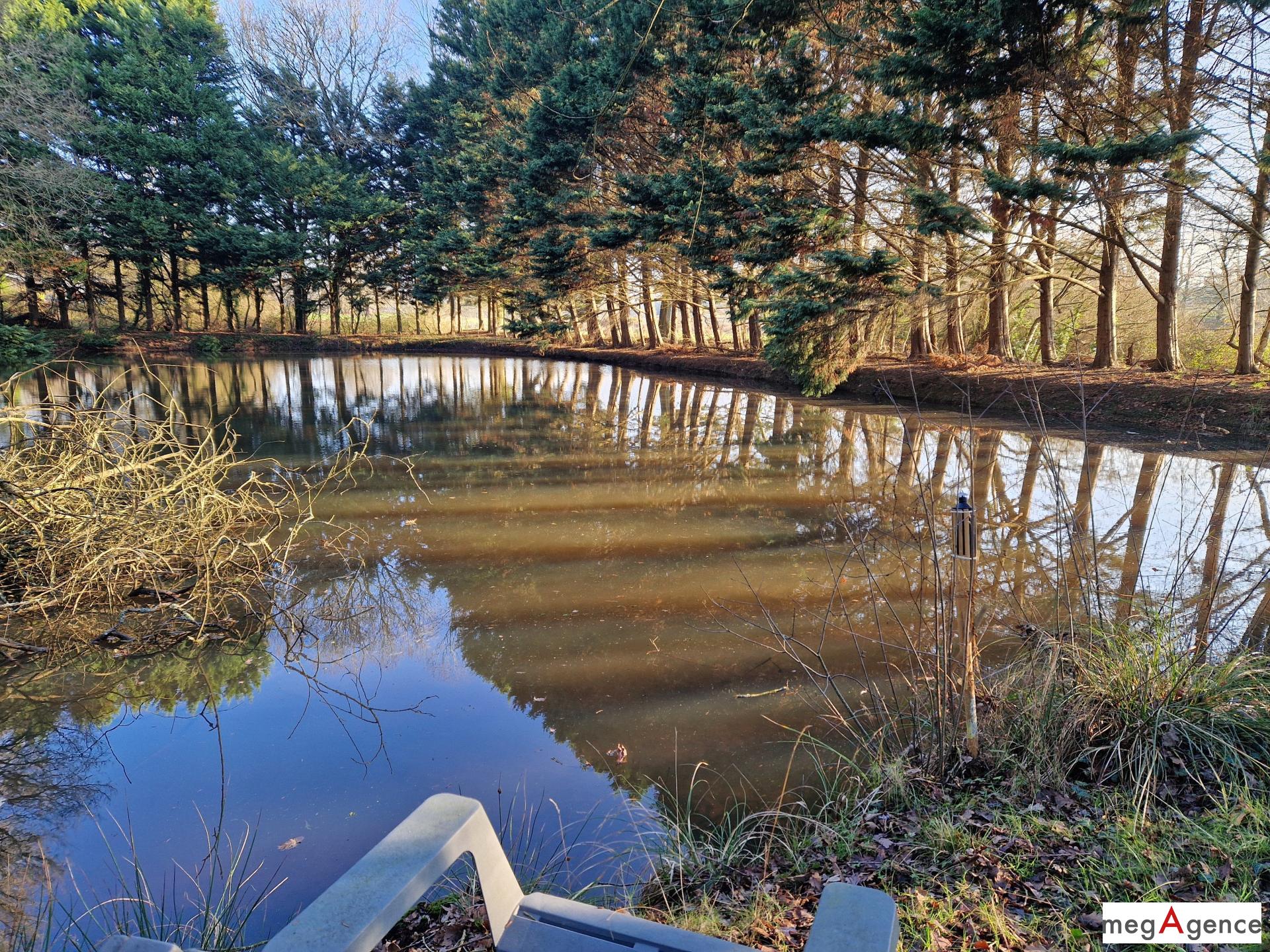 Miniature photo - 2 / 6