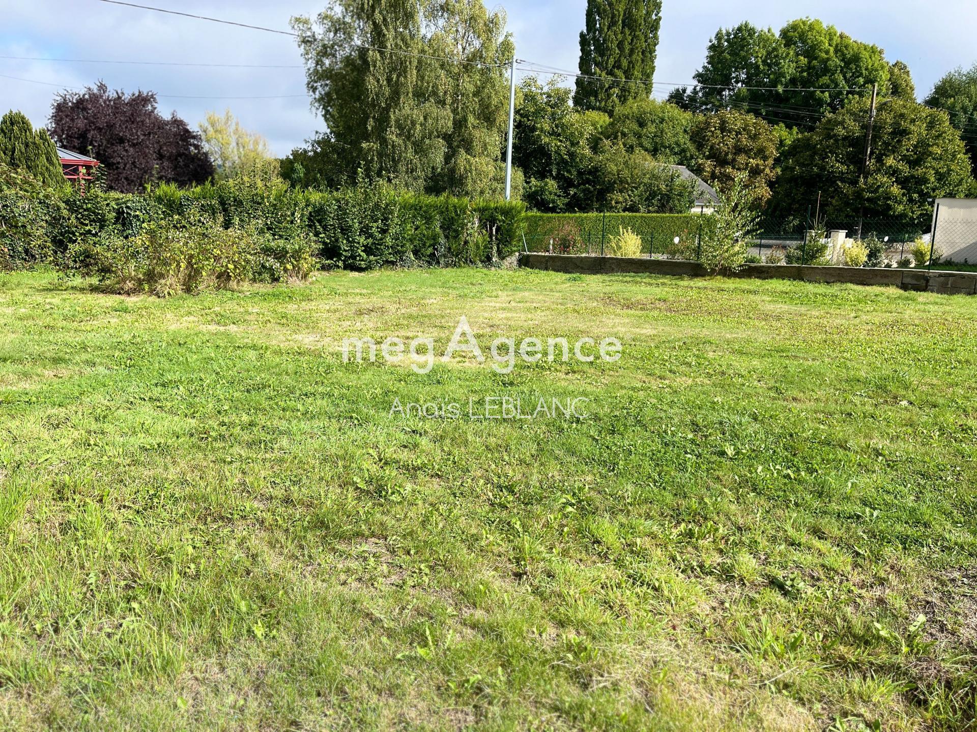 Miniature photo - 3 / 3