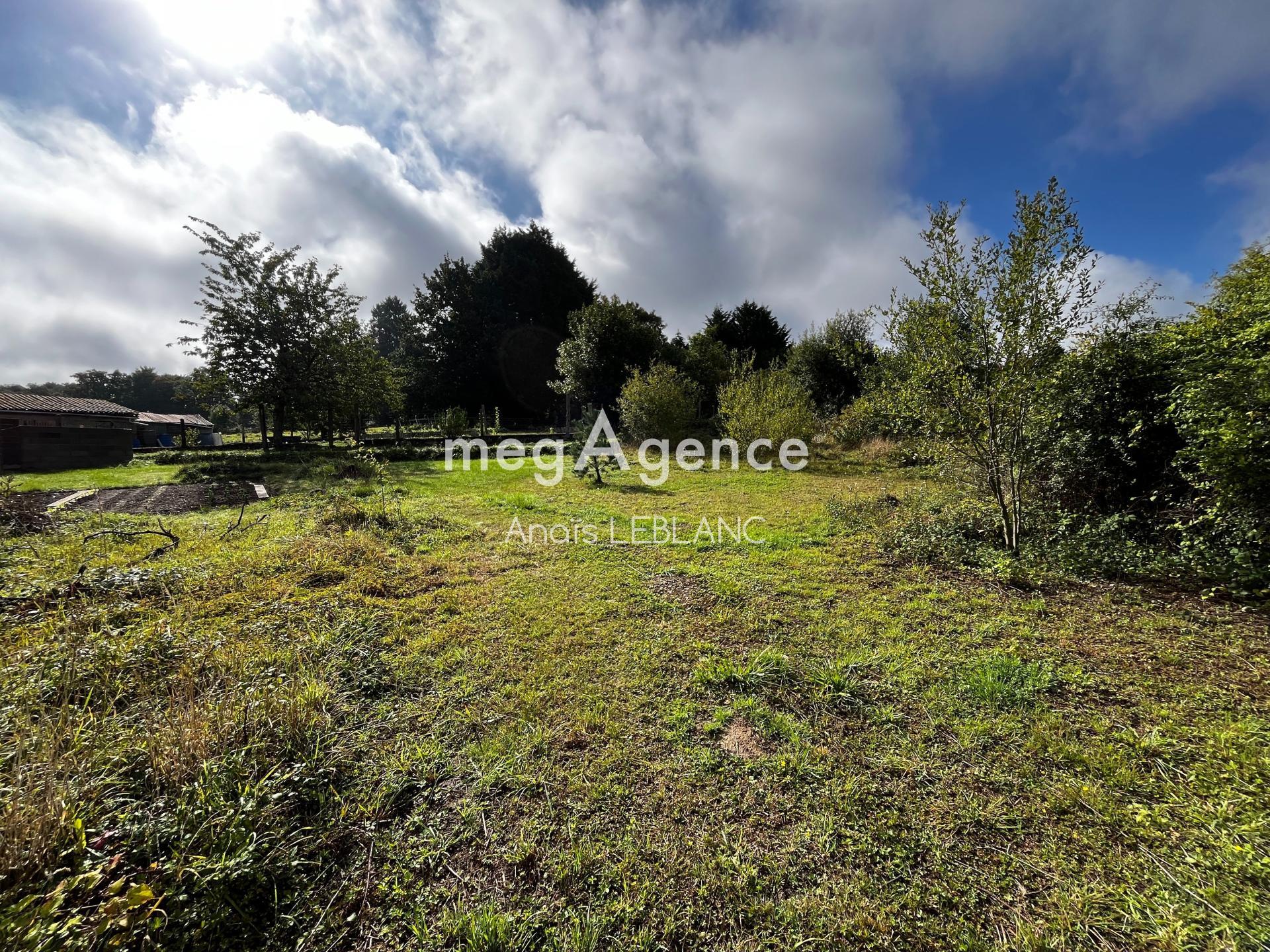 Miniature photo - 2 / 3