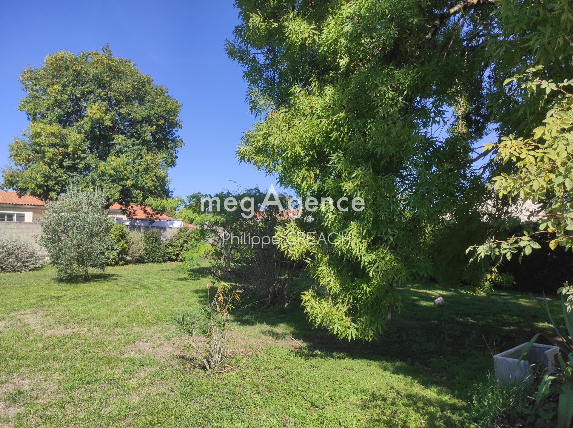 Miniature photo - 2 / 10