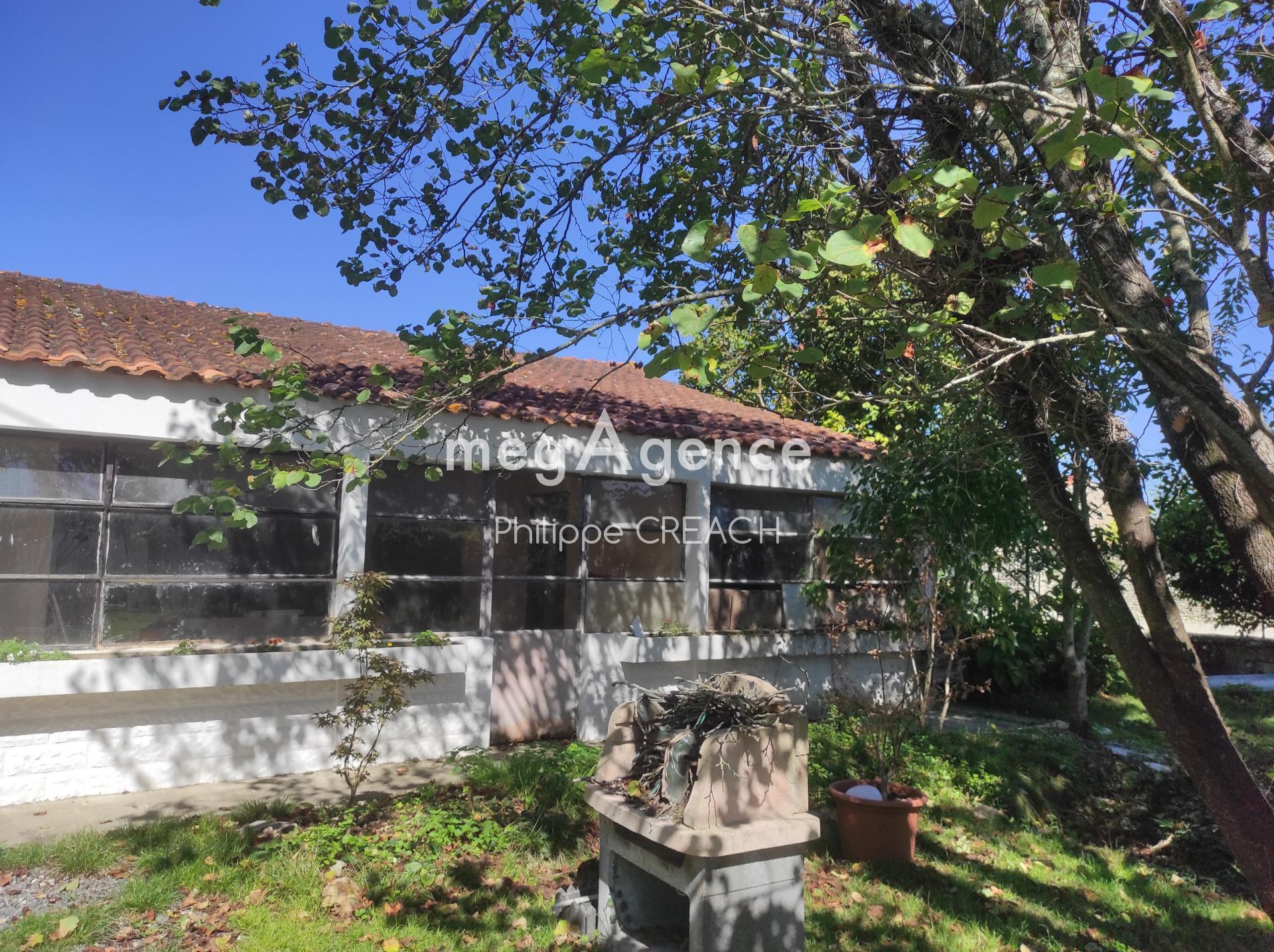 Miniature photo - 3 / 10