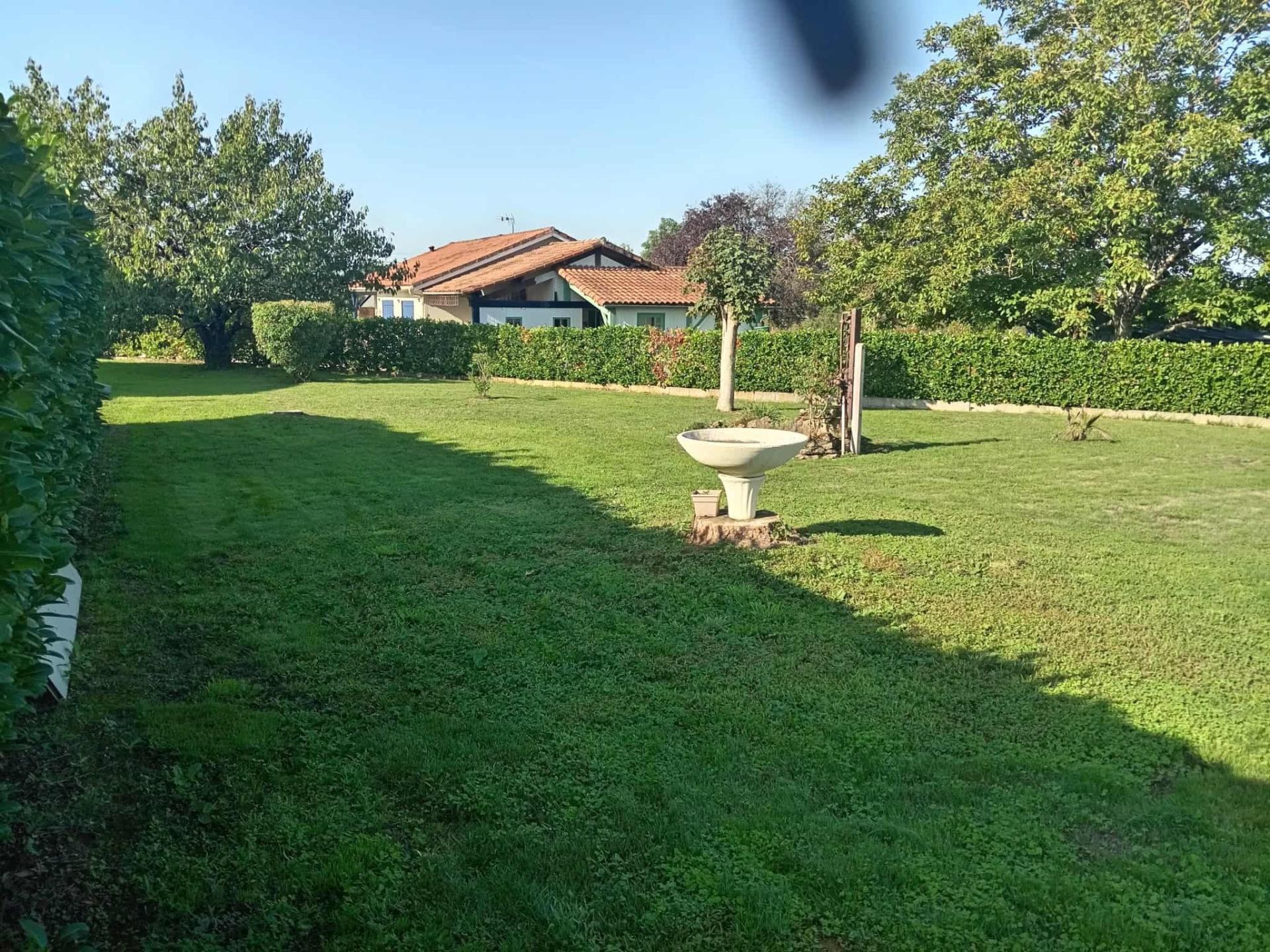 Miniature photo - 2 / 12