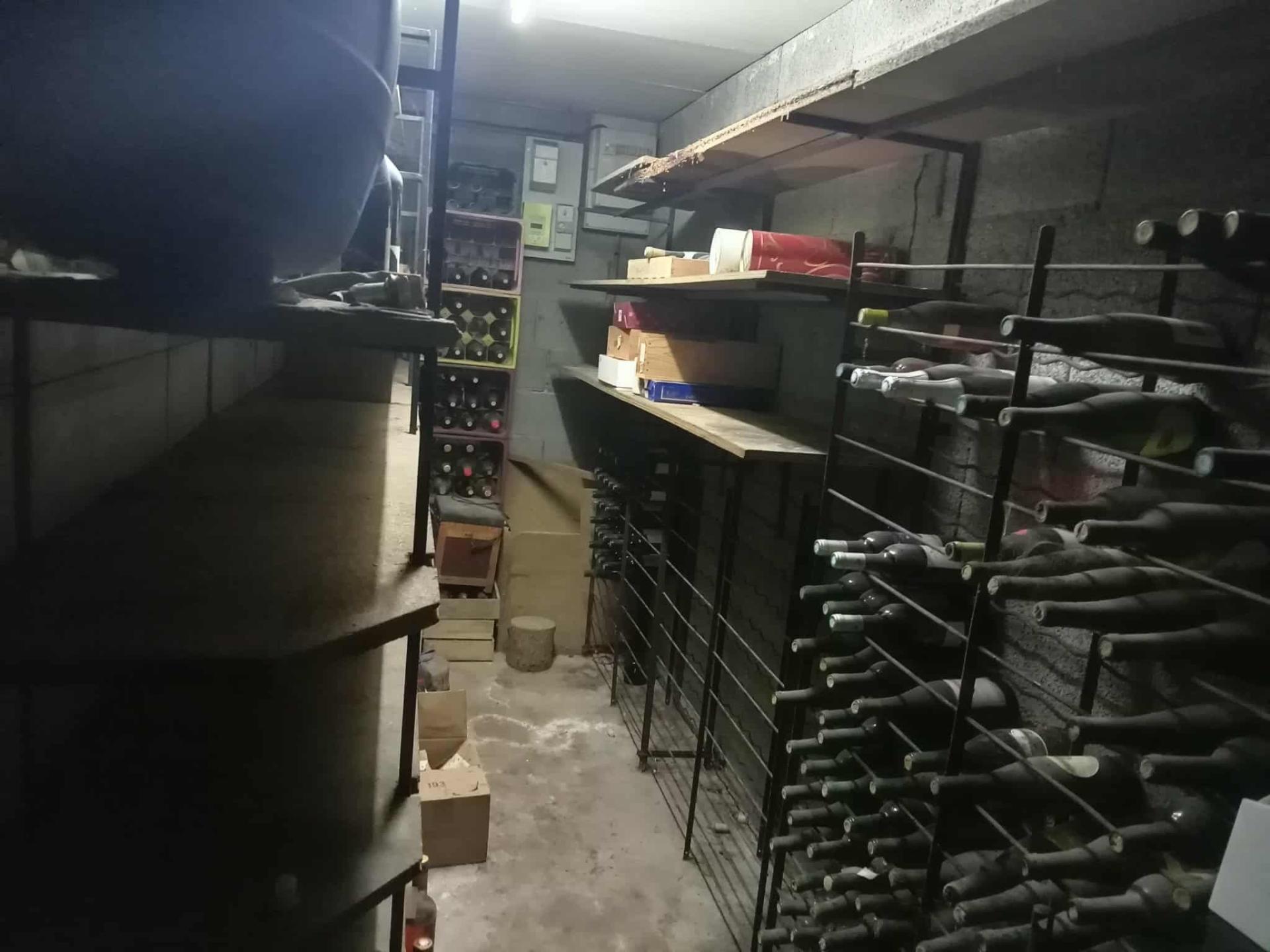 Miniature photo - 11 / 12