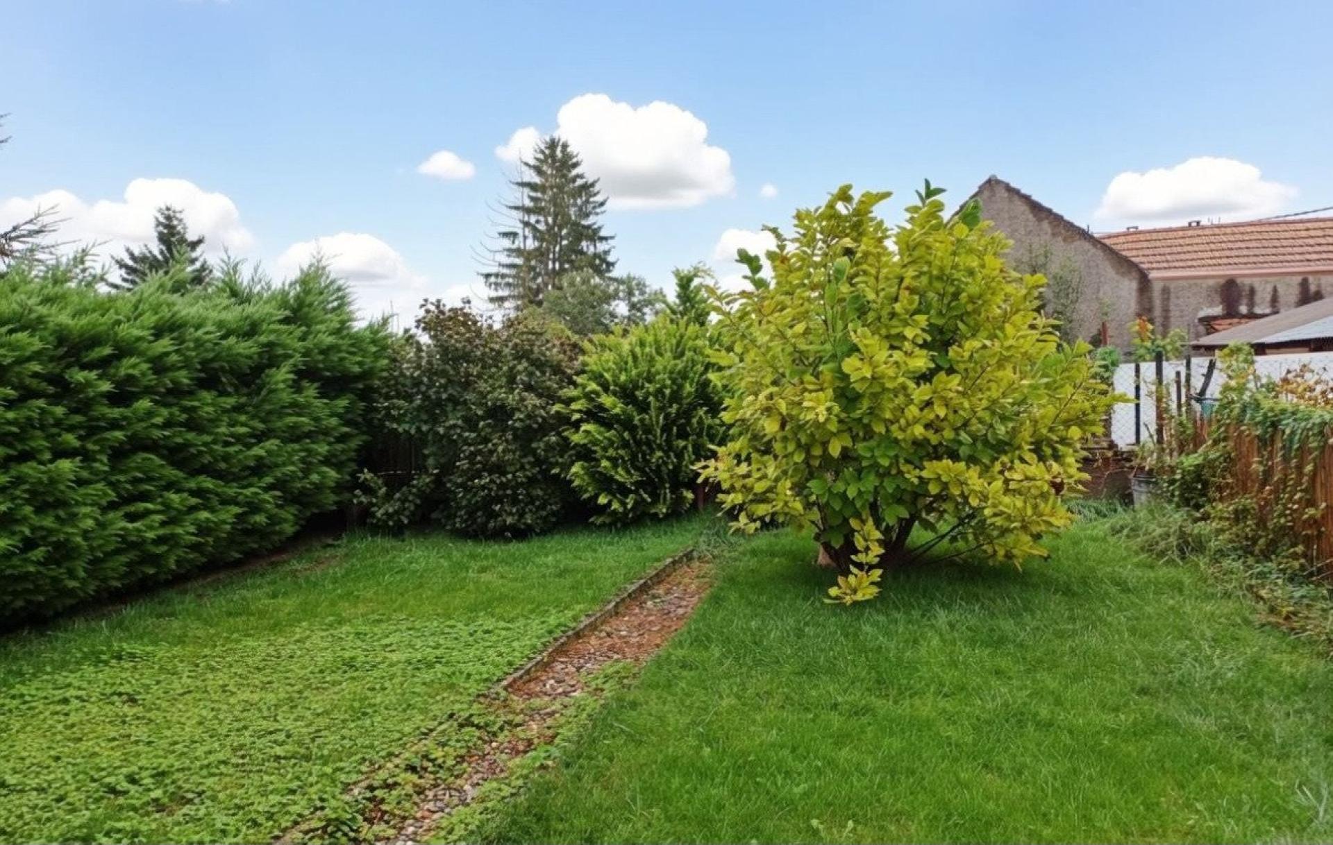 Miniature photo - 4 / 11