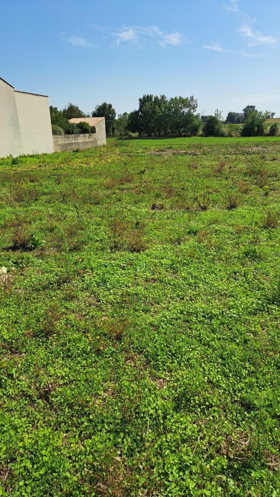 Miniature photo - 2 / 5