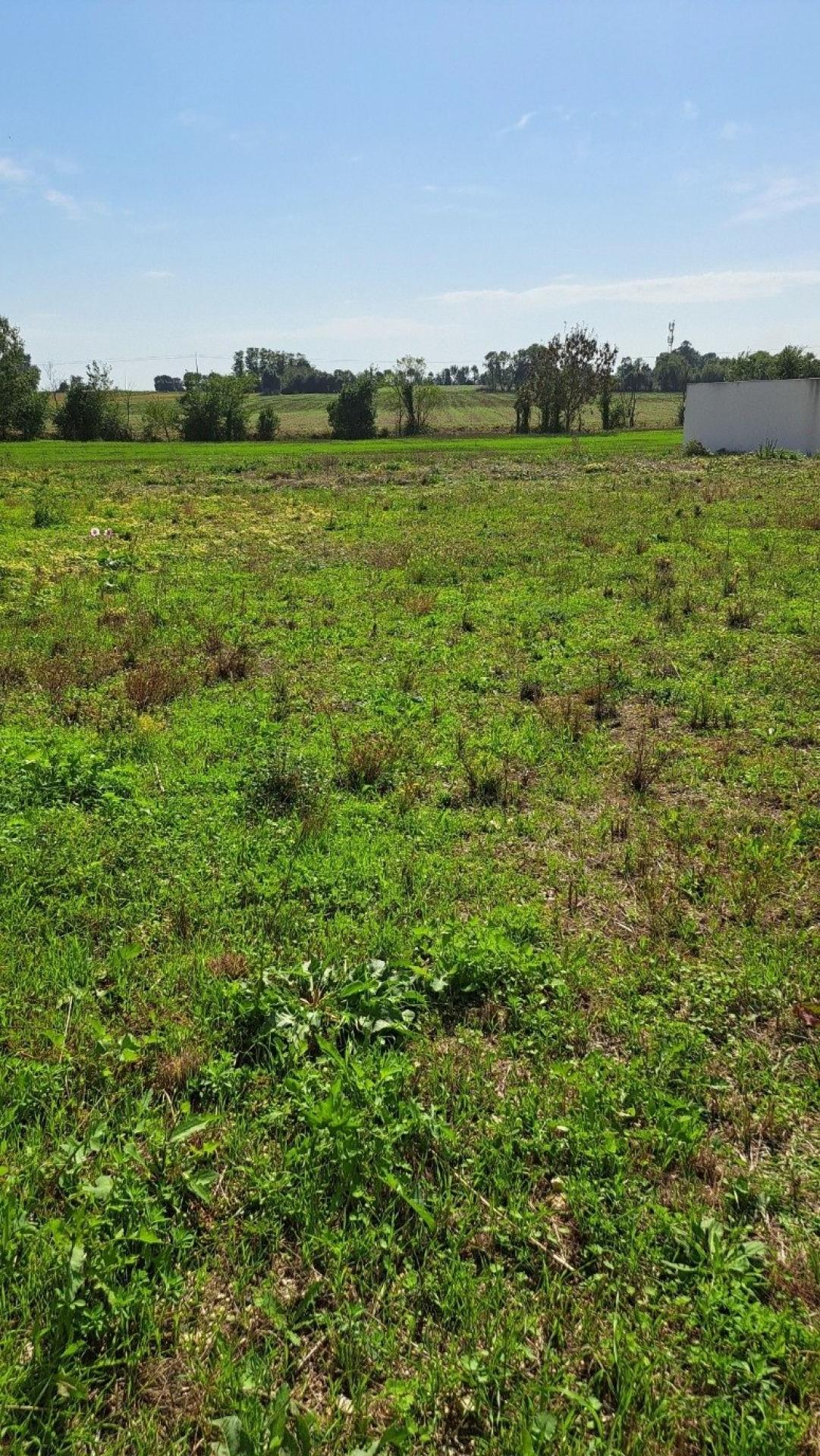 Miniature photo - 5 / 5