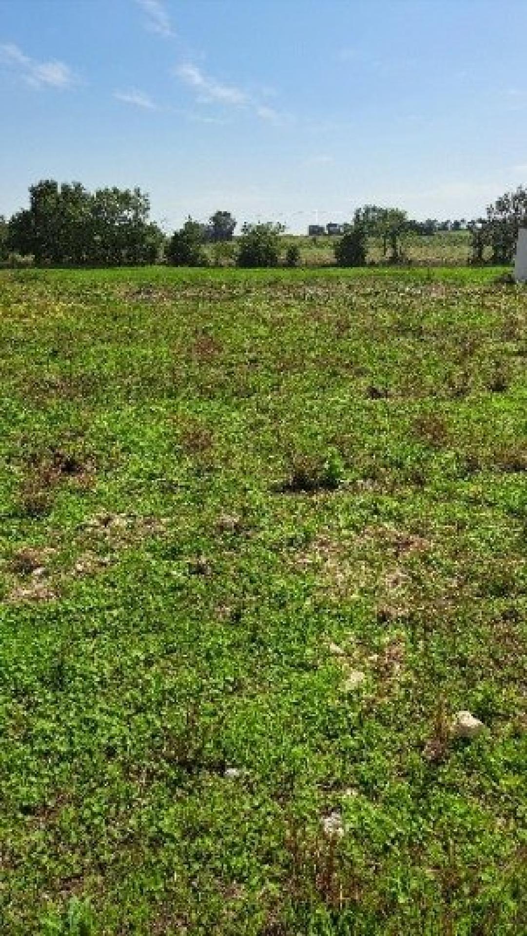 Photographie descriptive du bien