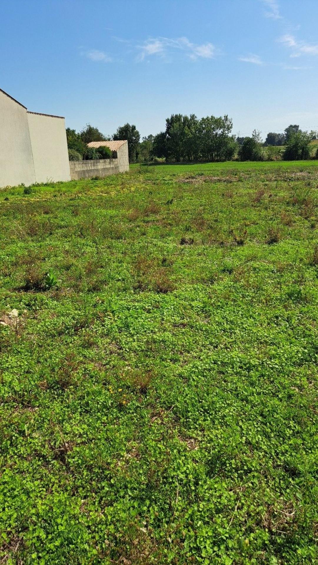 Miniature photo - 4 / 5