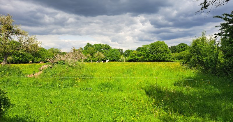 Miniature photo - 12 / 13